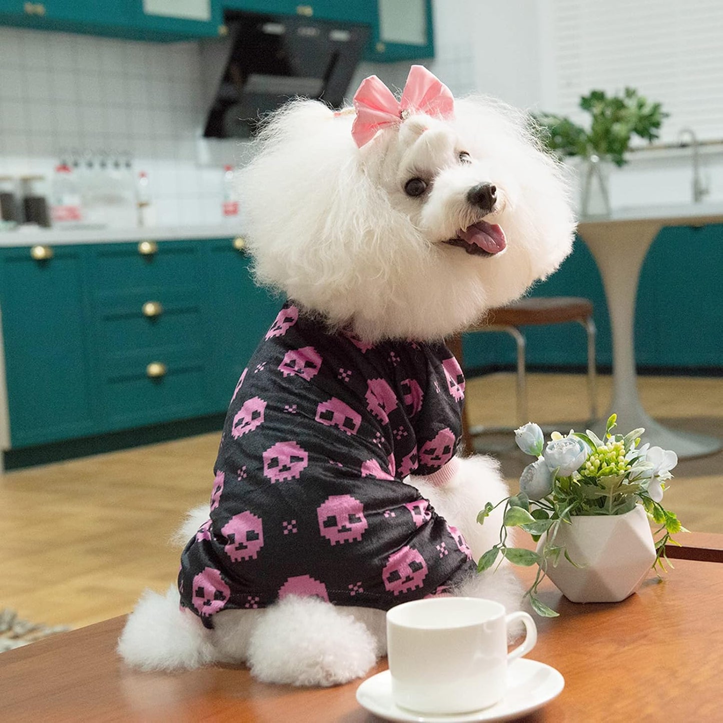 CuteBone Dog Halloween Pajamas Puppy Onesies Small Dogs Soft Pjs Coat Cat Apparel Comfy Pet Clothes Outfit Doggie Bodysuit P248XL