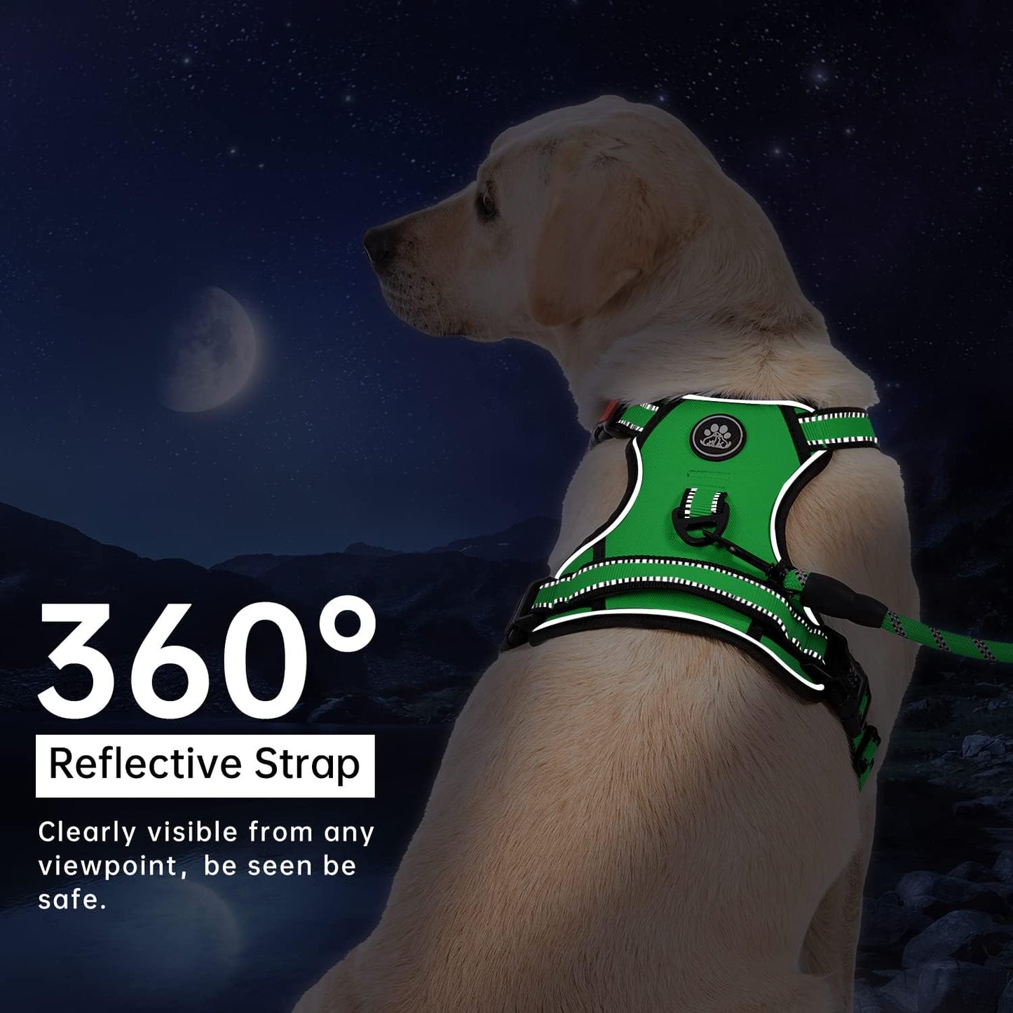 IVY&LANE No Pull Dog Harness for Large Dogs, Dog Vest Harness with Leash, Safety Belt and Storage Strap, Fully Adjustable Harness, 360° Reflective Strip, Soft Handle (Green, XL)
