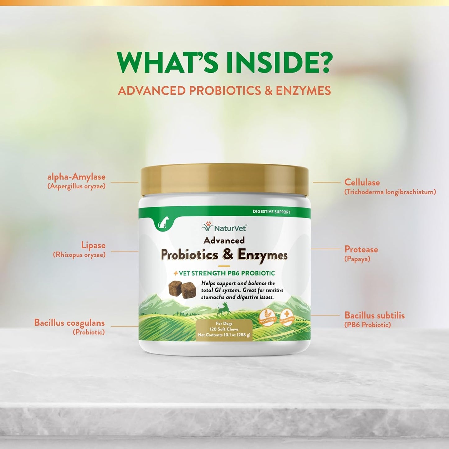 NaturVet Advanced Probiotics & Enzymes, PB6 Dog Soft Chews to Help Sensitive Stomachs and Digestive Issues, Hickory Smoked Bacon Flavored Pet Supplement for Dogs Over 6 Weeks, 120 Count Jar