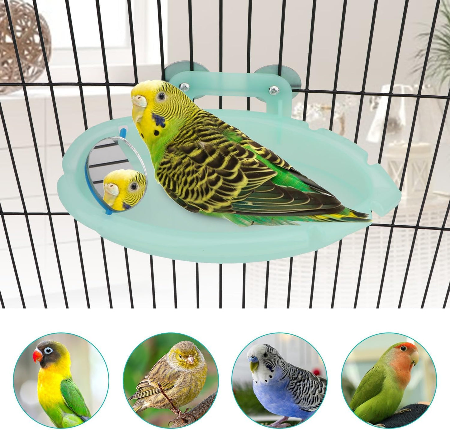 Wontee Bird Bath for Cage Portable Parrot Hanging Bathroom Bathing Tub with Mirror for Small Birds Parakeets Budgies Lovebirds Canaries Finches