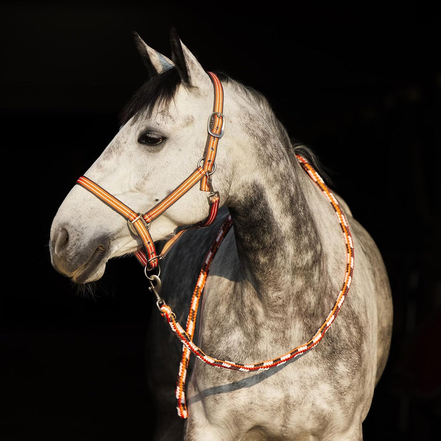 HORZE Adepto Adjustable Horse Halter | Soft, Durable Polyester - Coral Gold - Cob