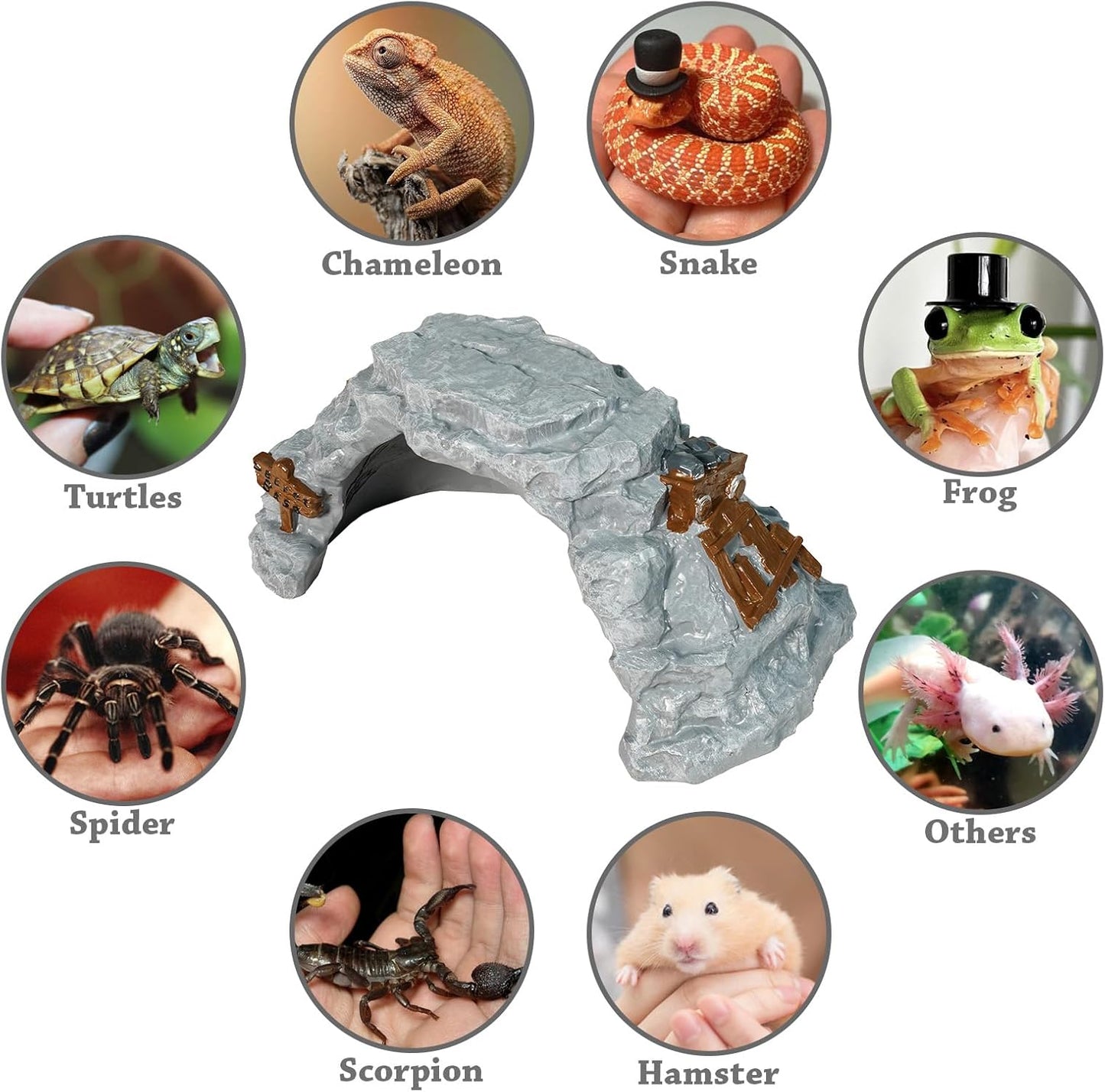 Warmtree Reptiles Hideout Cave,Bearded Gragon Hideout,Reptile Feeding Dish, Resin Reptile Hide Cave,Terrarium Habitat Decor Tank Accessories for Amphibians Tortoise Lizards Snakes Chameleon Fish