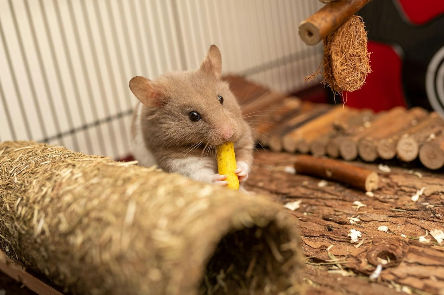 SIMENA Wooden Hamster Suspension Bridge Toy, Hamster Fencing, Natural Climbing Ladder for Dwarf Hamsters, Syrian Hamsters, Mice, Gerbils & Small Pets (Natural, 19.7")