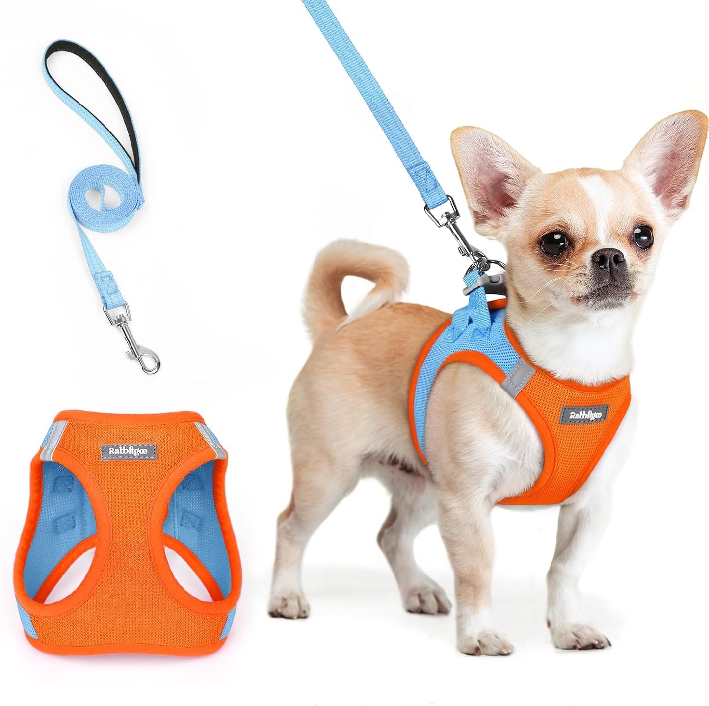rabbitgoo Dog Harness Small Sized and Leash Set, Step in Soft Light Puppy Vest, Breathable Mesh Pet Harness, Reflective for Safe Easy Walking, Blue & Orange XXS