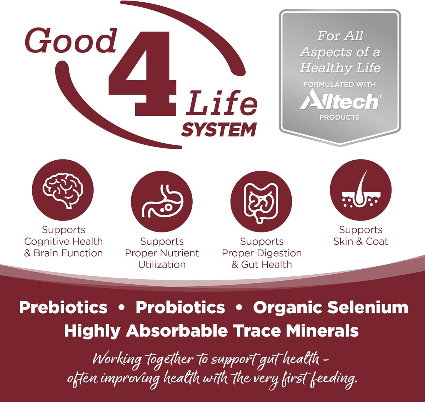 NutriSource Dry Dog Food, Beef and Rice, 4LB