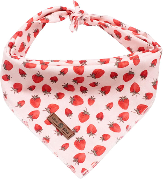 Lionet Paws Dog Bandana,Fabric Pink Dogs Kerchief for Medium Large Dogs,Dog Cotton Triangle Bibs Scarf for Girl Boy