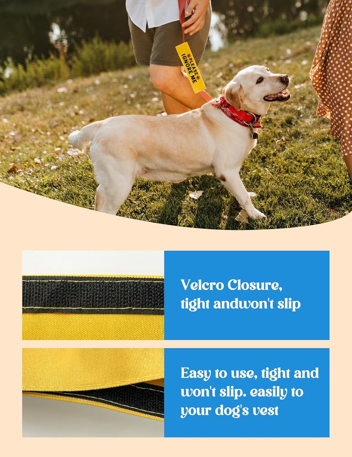 Please Ignore Me Dog Leash Sleeve, Funny Yellow Alert Hanging ID Patch Tag, Do Not Pet in Training Leash Wrap, Pet Birthday Gifts for Dog Owners