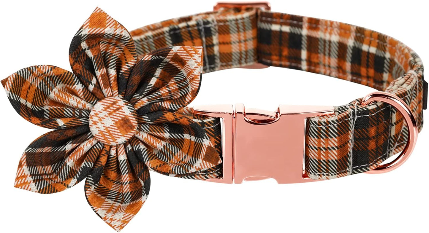 Lionet Paws Dog Collar with Flower - Cute Cotton Adjustable Flower Dog Cat Collar with Metal Buckle for Puppy Girl Gift, XS, Neck 8-12in