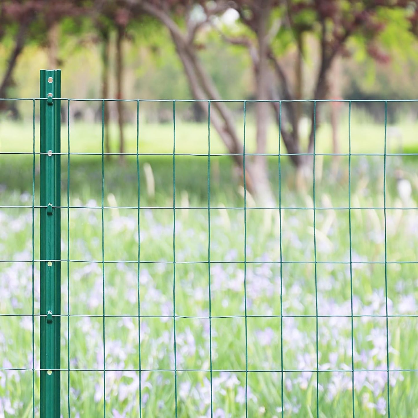 Green PVC Coated Welded Wire Fence 48 Inch x 50 Foot, 2 Inch x 3 Inch 16GA, Garden Border Fencing Roll Vinyl Coating Metal Wire Mesh for Yard Vegetable Plant Protection Poultry Netting