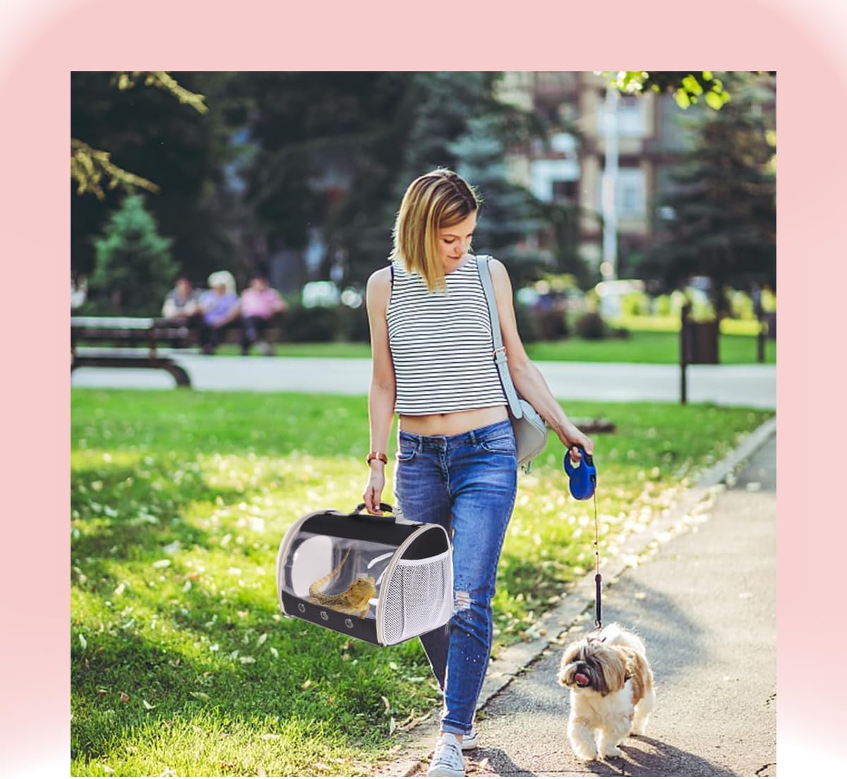 Small Animal Travel Backpack Carrier,Portable Bearded Dragon Bag for Sugar Glider,Hedgehog,Rat,Bunny,Rat,Outdoor Used (Black, Carrier L+ I Leash)