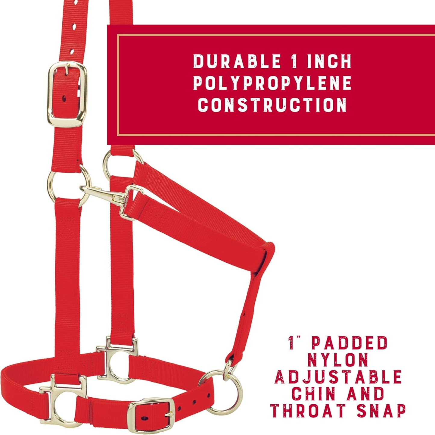 Weaver Leather Nylon Horse Halter, Padded and Adjustable, Chin and Throat Snap Hook Halters for Horses, Brass Plated Halters for Training