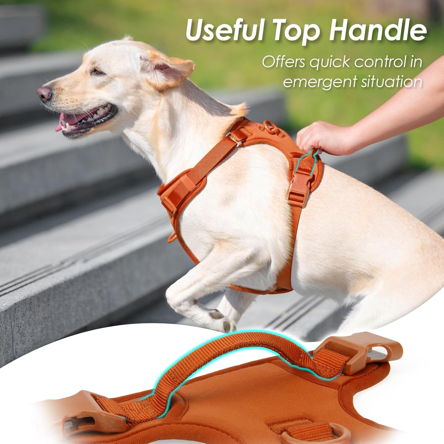 No Pull Dog Harness, Puppy Vest with Front Clip for Small Medium Large Sized Dog(Carmel Brown,M)