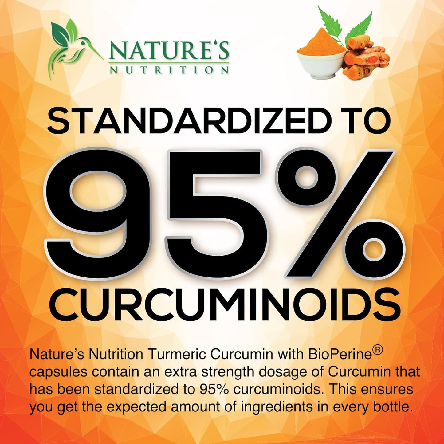 Turmeric Curcumin Supplement 1950mg - 95% Curcuminoids with Organic Turmeric & BioPerine Black Pepper Extract for Best Absorption, Nature's Vegan Joint Support, Non-GMO, Bottled in USA - 240 Capsules