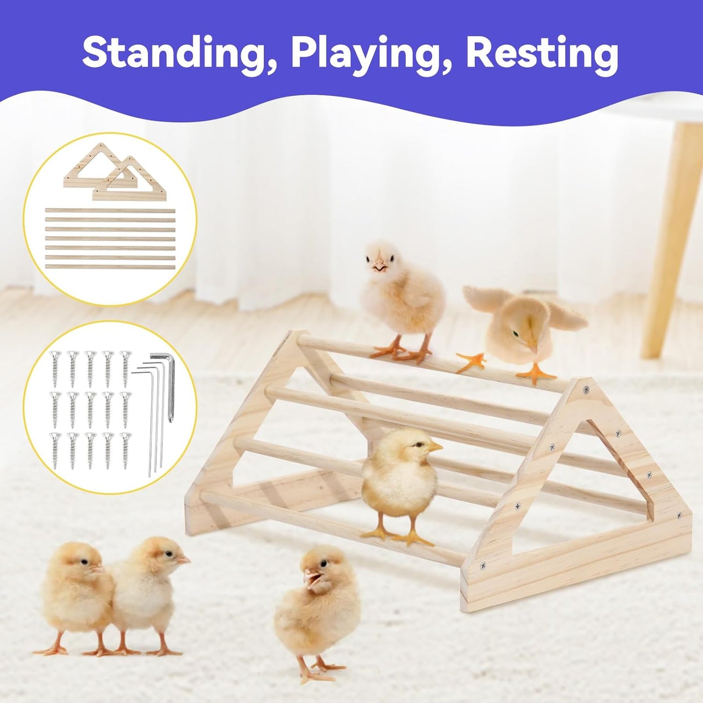 Pawaboo 5-in-1 Chicken Brooder Box for Chick Starter Kit, Includes Pet Cage Tent, Chicks Perch, Chicks Feeder, 1.1L Chick Waterer, Baby Chicken Supplies (Brooder Set), Gray