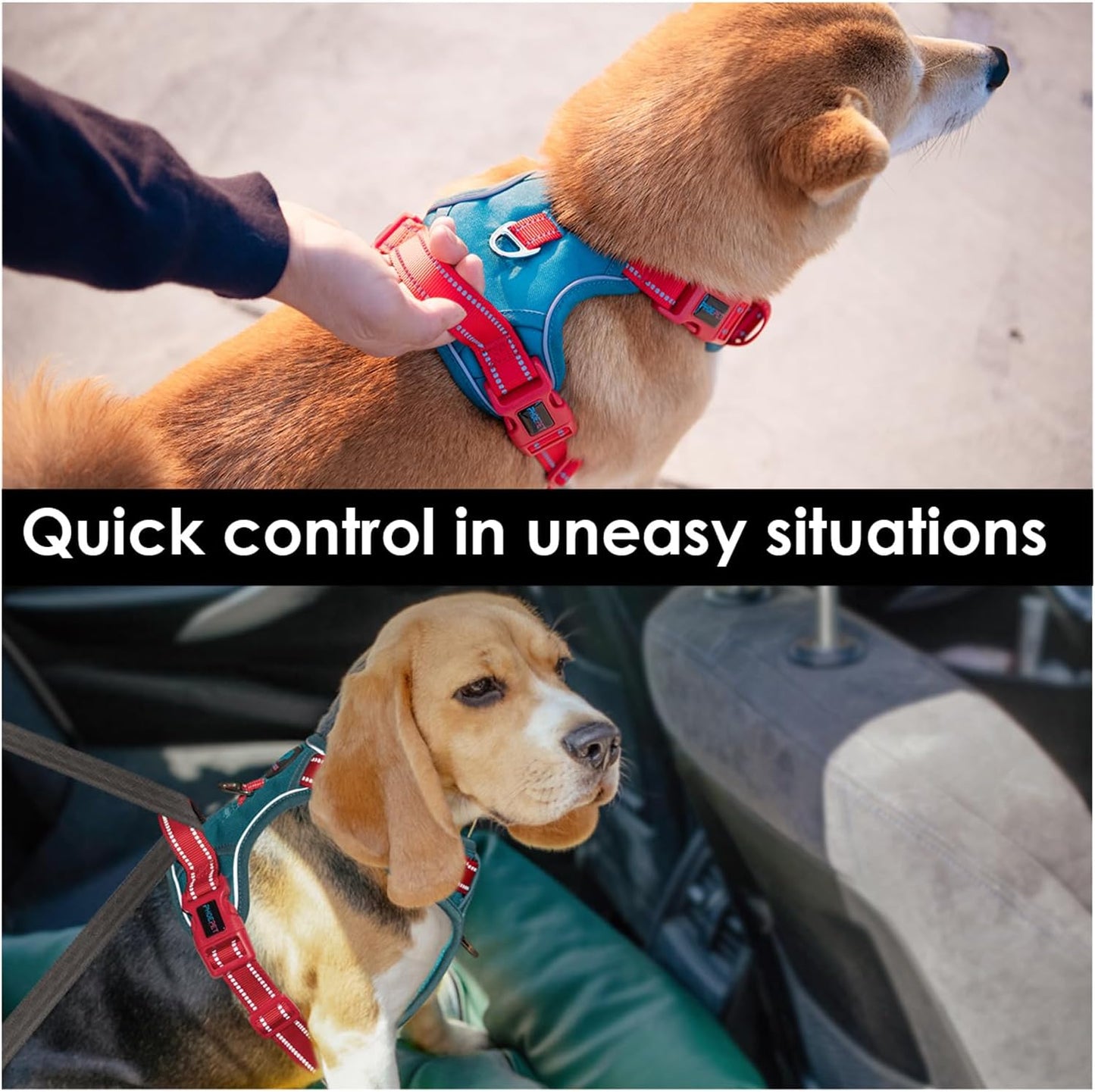 PHOEPET No Pull Dog Harness, Unique Colors Reflective Adjustable Dog Vest, with Soft Training Handle Metal Clips for Small Medium Large Dogs (Teal Base & Red Straps,S)