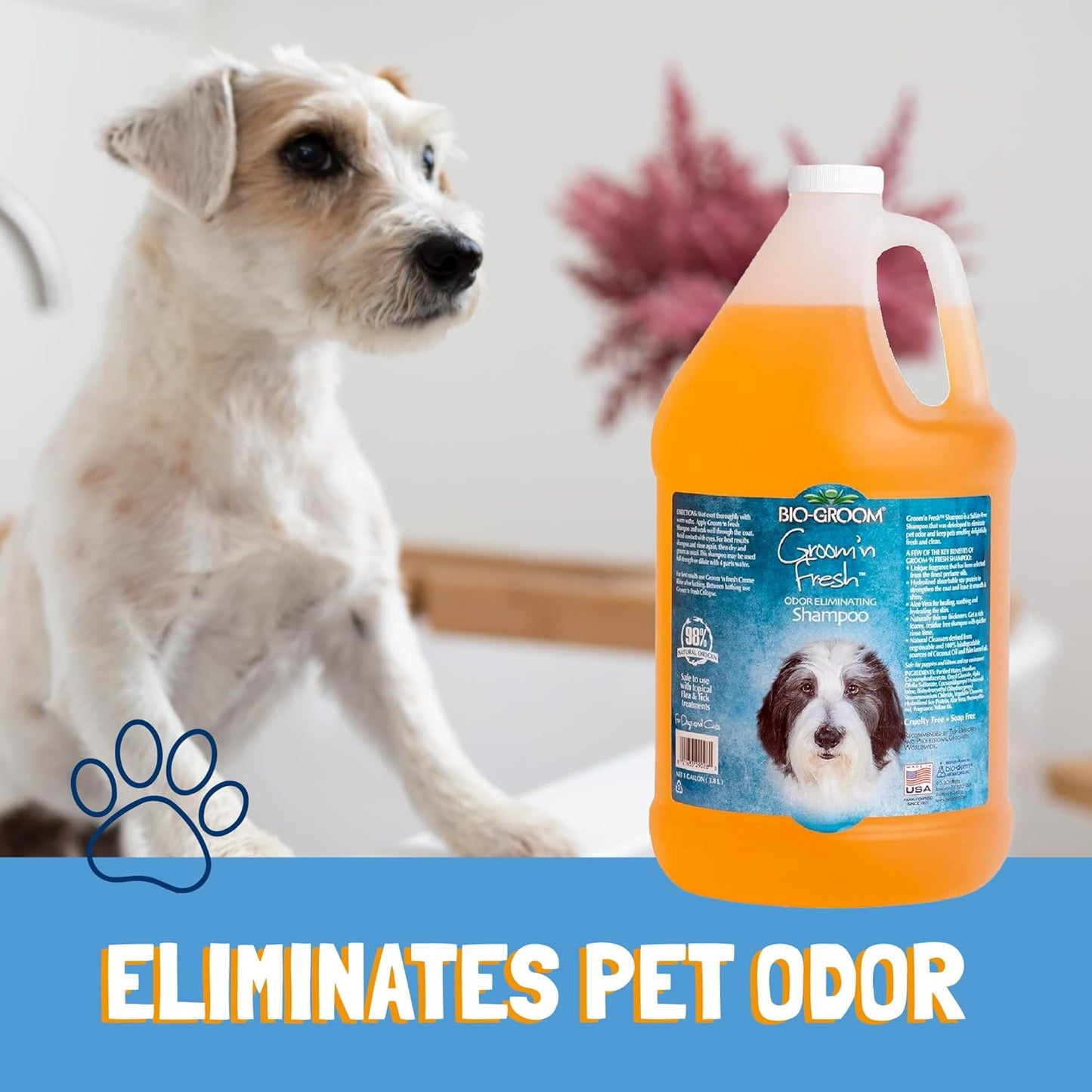 Bio-Groom Groom'n Fresh Dog Shampoo – Odor Eliminating, Dog Bathing Supplies, Puppy Wash, Cat & Dog Grooming Supplies, Cruelty-Free, Made in USA, Dog Products – 1 Gallon