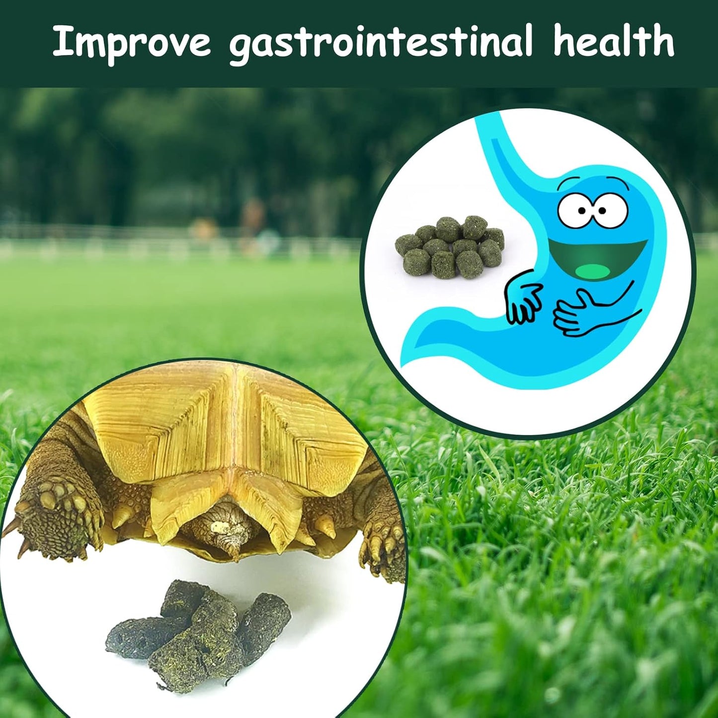 Timothy Hay Cubes 60 oz (6 * 10 oz) with Small Size - Timothy Grass Pellets for Tortoises Rabbits Guinea Pig Chinchilla