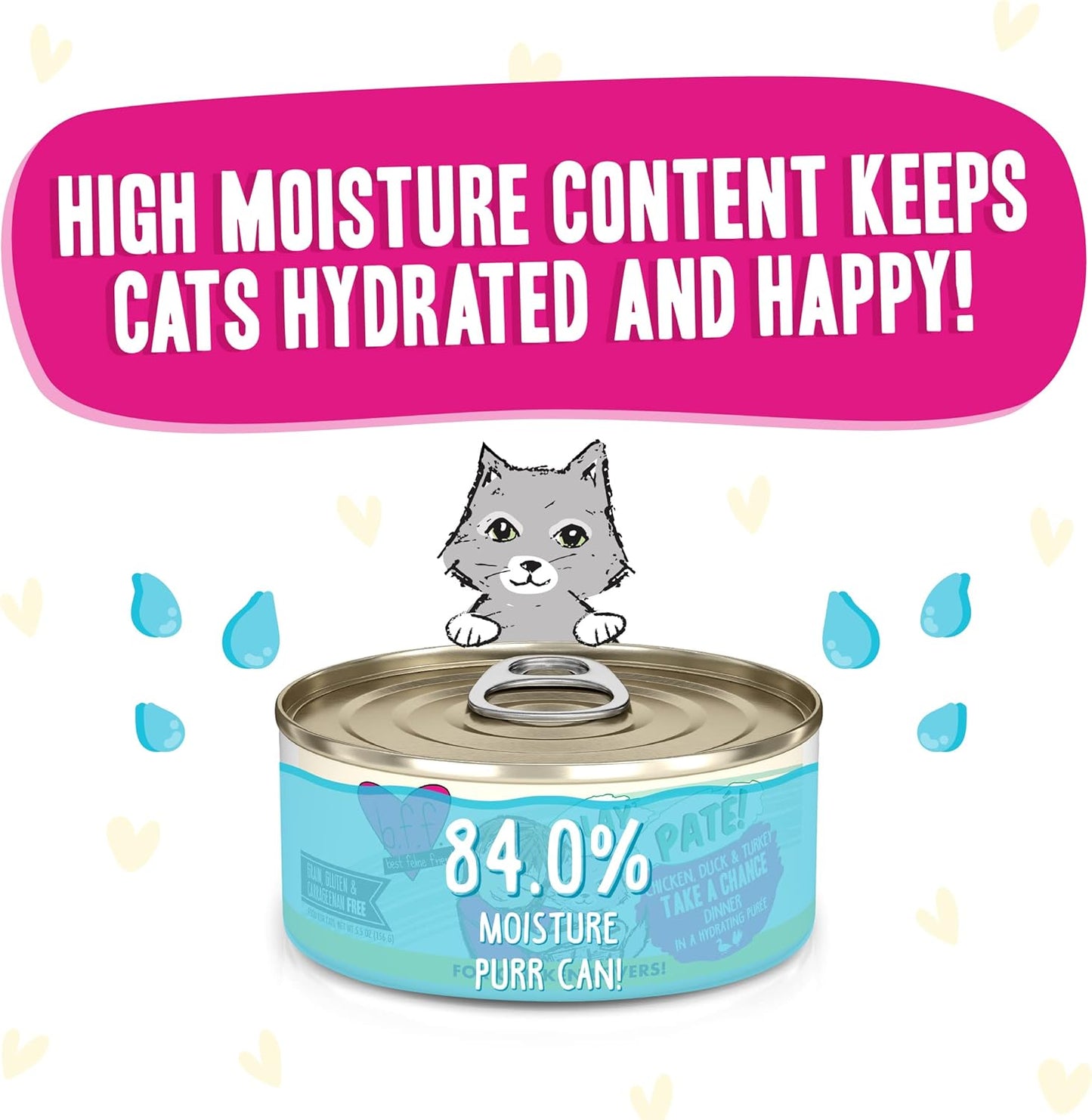 Weruva B.F.F. Play - Best Feline Friend Paté Lovers, Aw Yeah!, Chicken, Duck & Turkey Take a Chance with Chicken, Duck & Turkey, 5.5oz Can (Pack of 8)