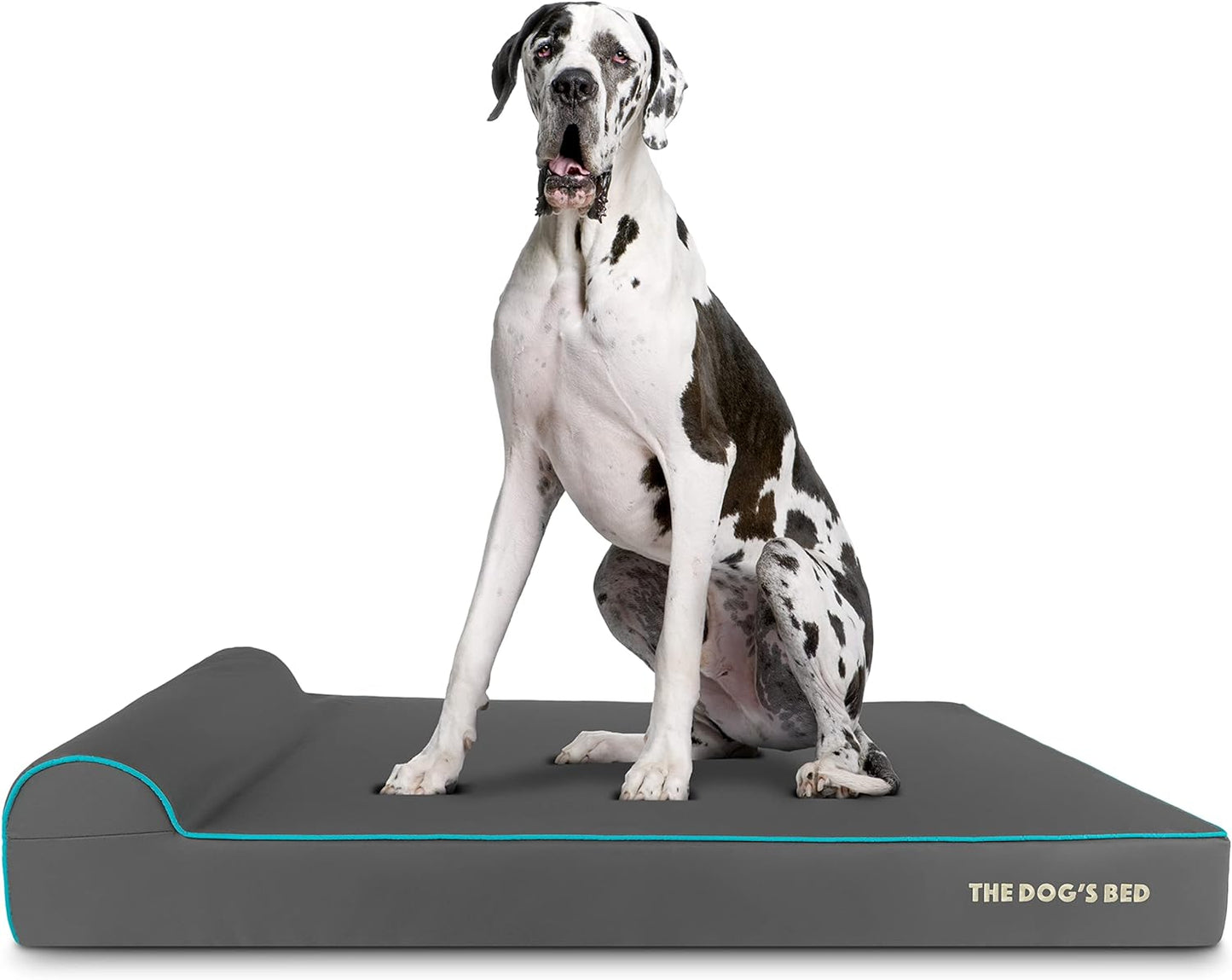 The Dog’s Bed Orthopedic Headrest Dog Bed XXL Grey/Blue 54x36, Memory Foam, Pain Relief for Arthritis, Hip & Elbow Dysplasia, Post Surgery, Lameness, Veterinary Approved, Waterproof Washable Cover