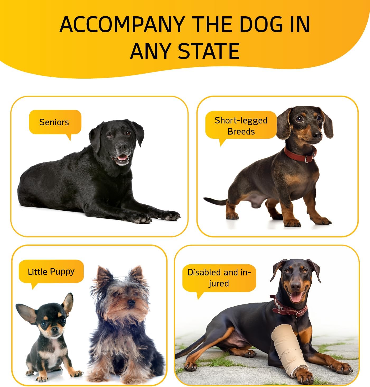 Dog Stairs for High Bed, Dog Steps for Bed Couch Sofa, 35D Foam Pet Steps for Small Dogs and Cats, Extra Wide Pet Stairs with Non-Slip Bottom Brown, 5 Steps