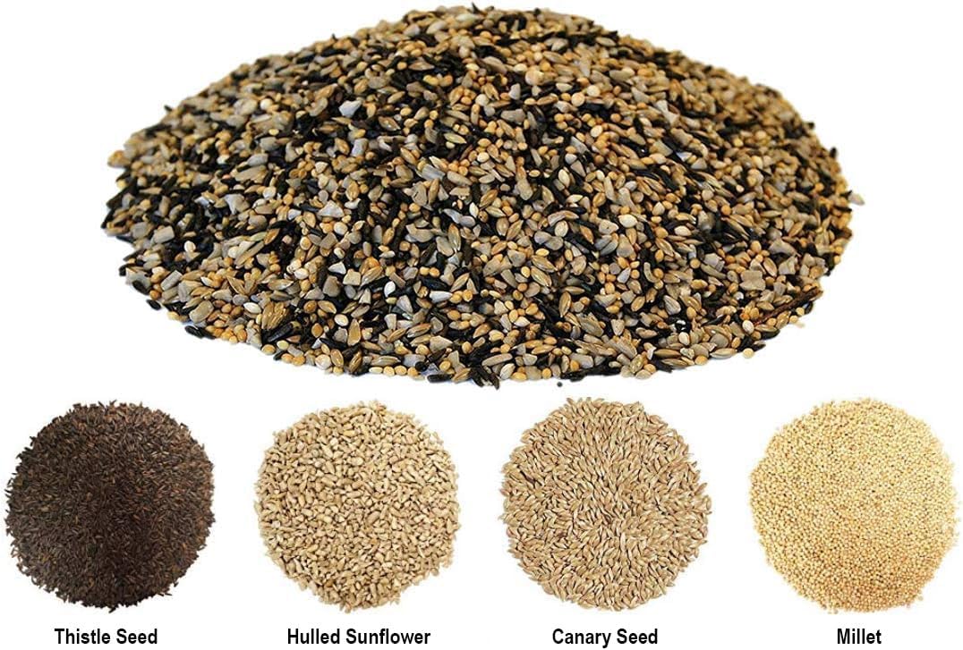 CountryMax Backyard Seeds Finch & Small Songbird Frenzy Wild Bird Seed Mix – 5 lb Bag | Premium Blend with Nyjer, Millet, Sunflower Chips | Attracts Goldfinches, House Finches, Chickadees