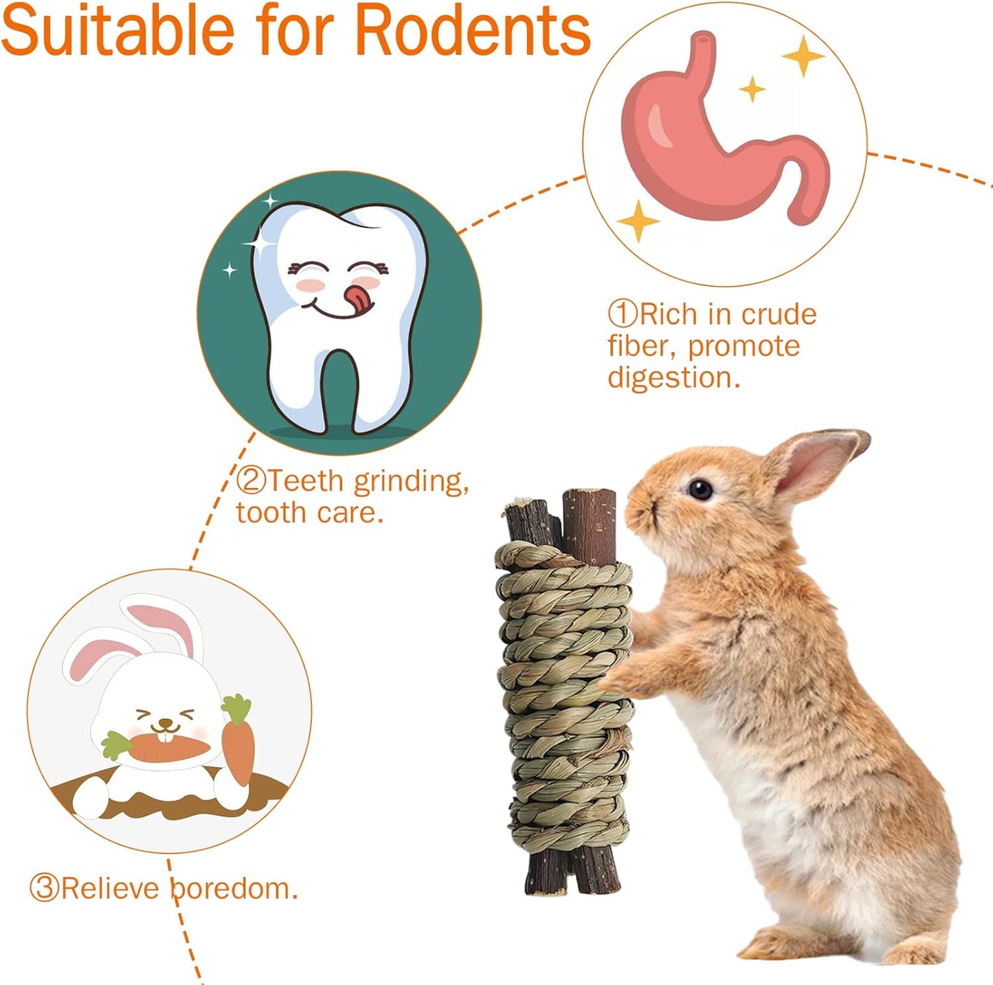 Fhiny 12 PCS Guinea Pigs Chew Toys, Natural Apple Branch Seagrass Molar Sticks for Teeth Bunny Chew Toys Cage Accessories for Guinea Pigs Rabbit Bunny Hamster Chinchilla