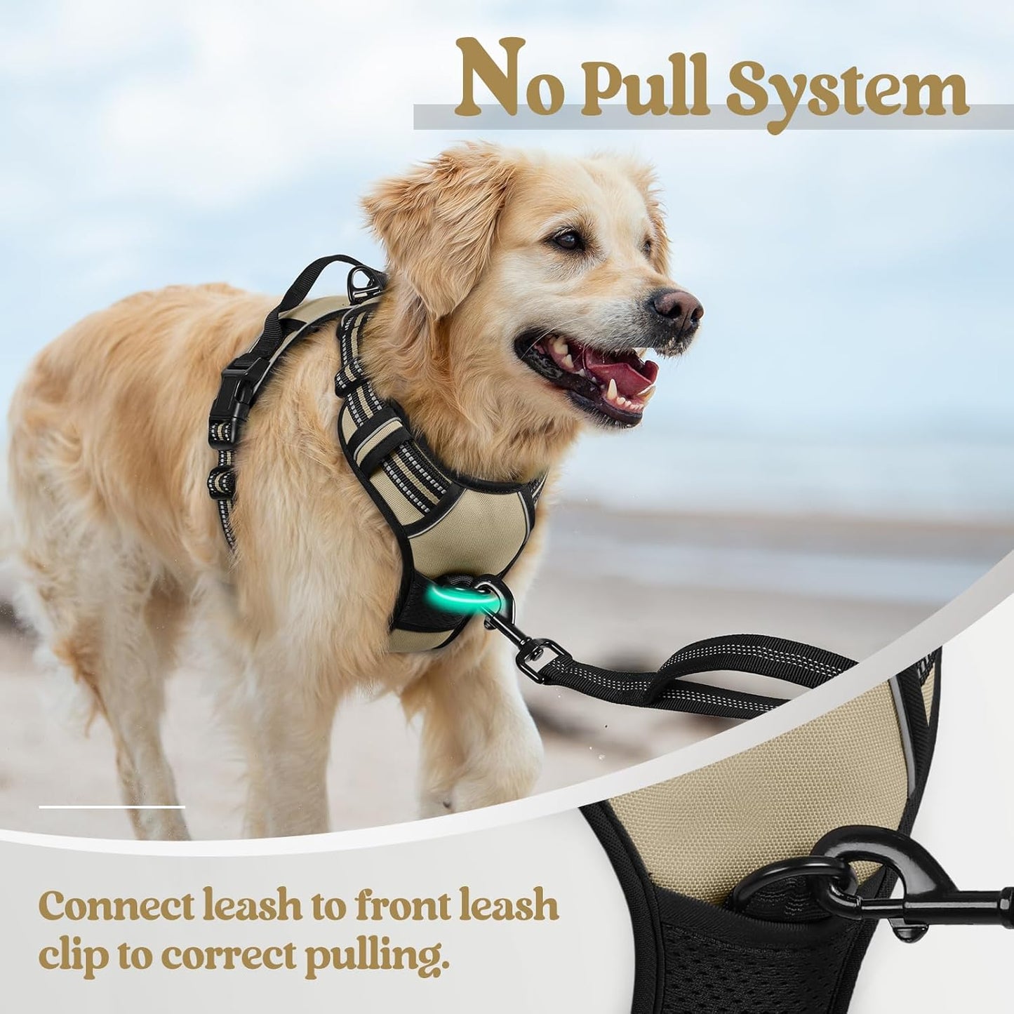 rabbitgoo Dog Harness No Pull with 2 Leash Clips, Adjustable Soft Padded, Reflective Oxford No Choke Pet Vest with Easy Control Handle for Large Dogs, Beige, L