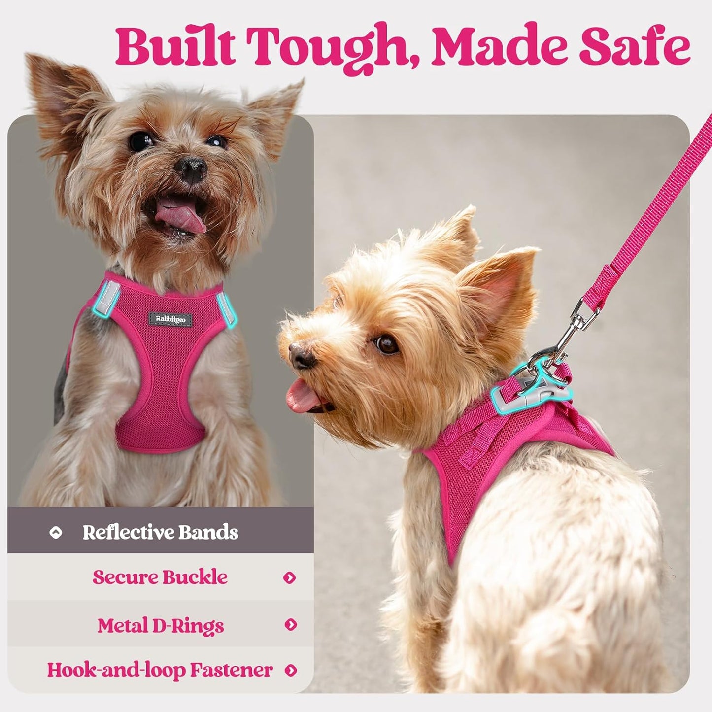 rabbitgoo Dog Harness Small Sized and Leash Set, Step in Soft Light Puppy Vest, Breathable Mesh Pet Harness, Reflective for Safe Easy Walking, Rose Red XXS
