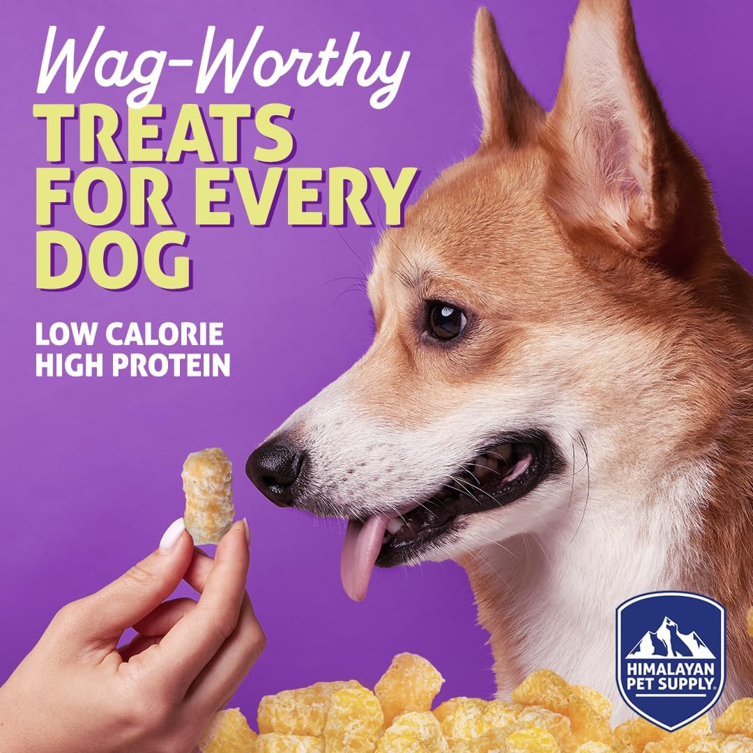 Barkeetos Dog Treats – Crunchy and Cheesy Pet Snacks Made with Real Himalayan Cheese & Peanut Butter, Gluten-Free, Grain-Free, Lactose-Free, Natural Dog Food for All Breeds and Sizes – 3-Pack