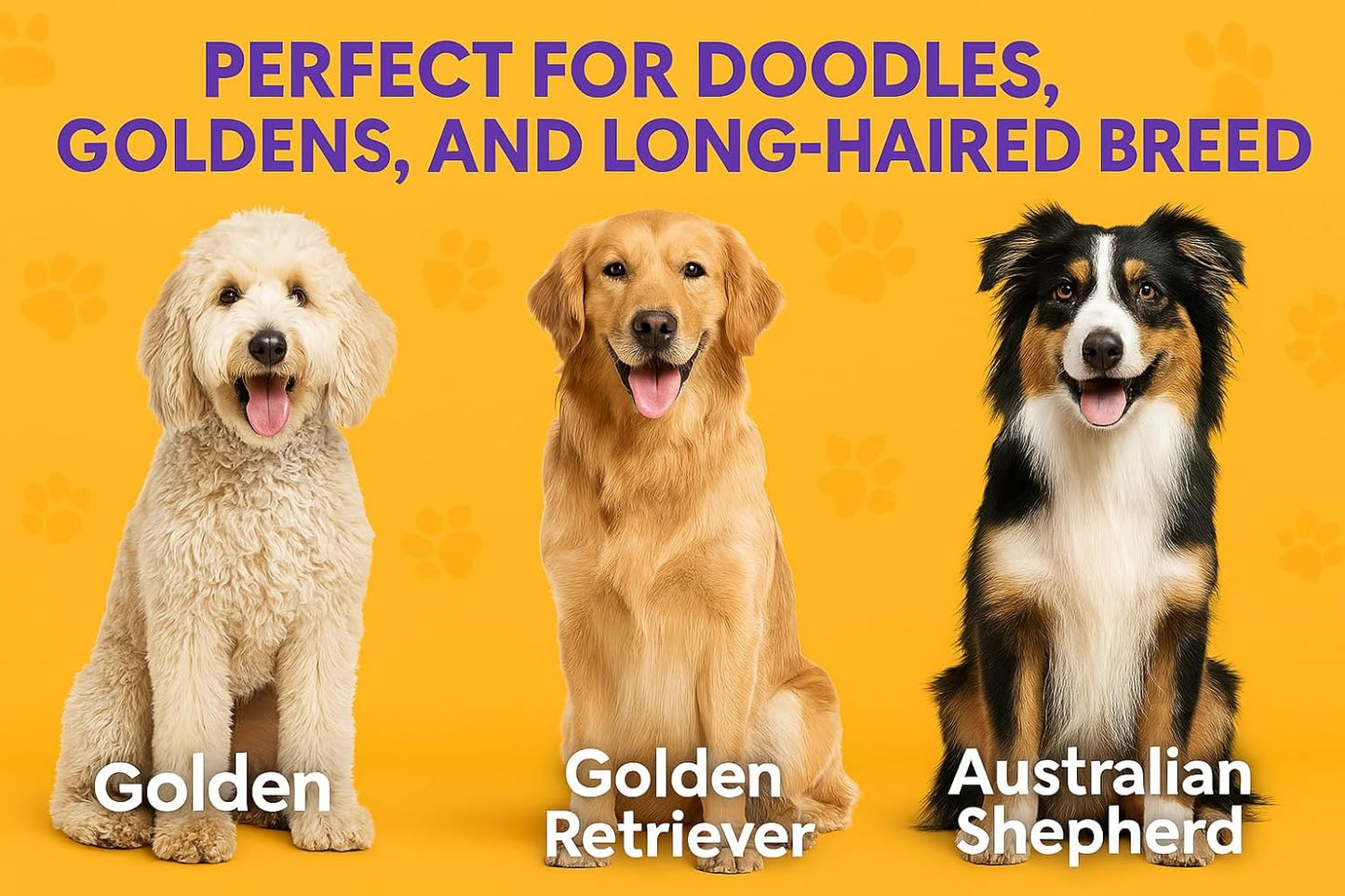 Round Bristle Pet Brush for Dogs and Cats - Soft Dog Brush for Grooming Short or Long Hair - Gentle Tool for Sensitive Skin Removes Dander, Dirt, and Detangles (Purple)