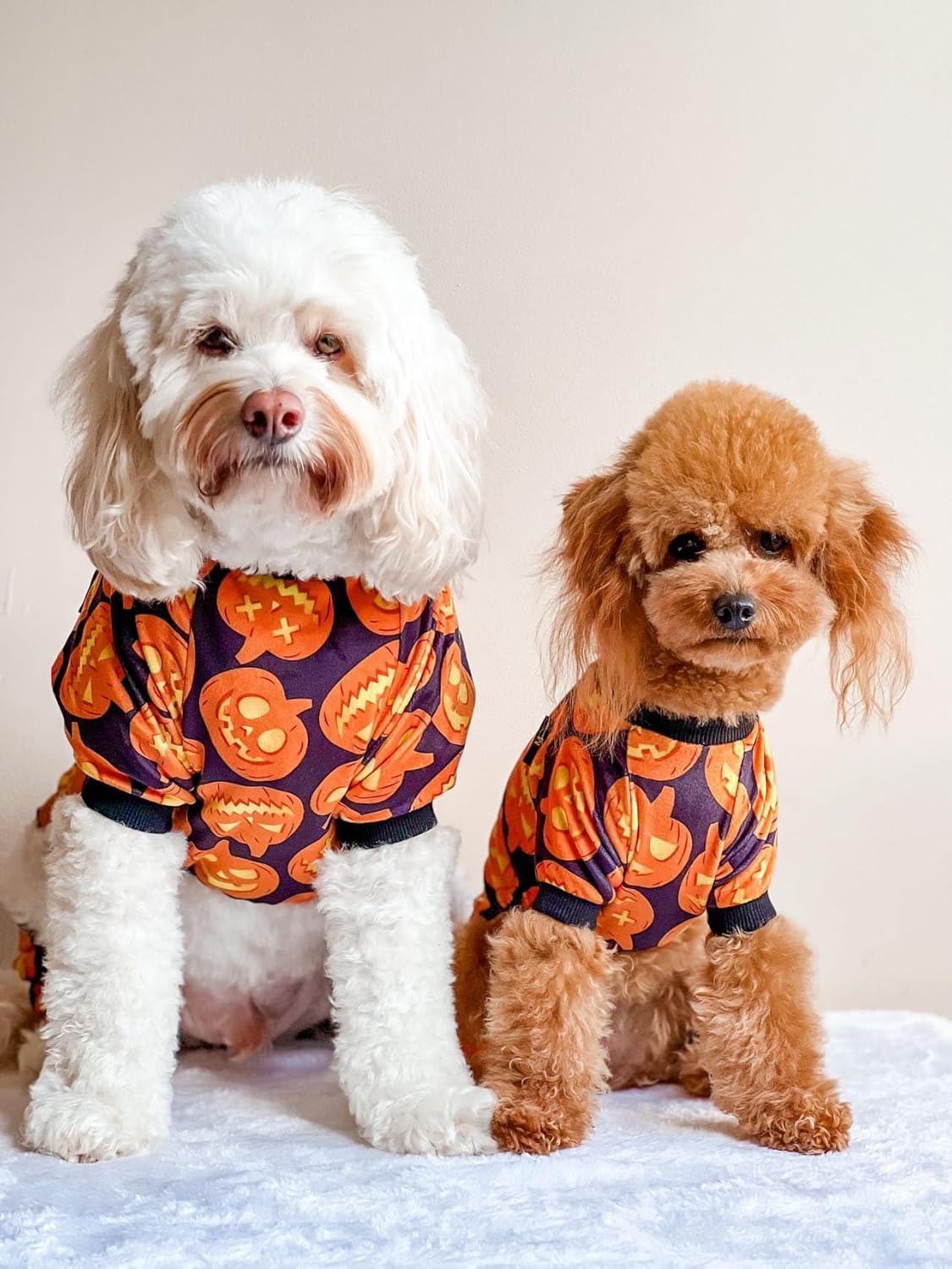 Fitwarm Halloween Pumpkin Dog Pajamas, Funny Dog Winter Clothes for Small Dogs Girl Boy, Pet Jumpsuit, Cat Halloween Costumes with Feet, Lightweight Velvet, Black, Orange, Large