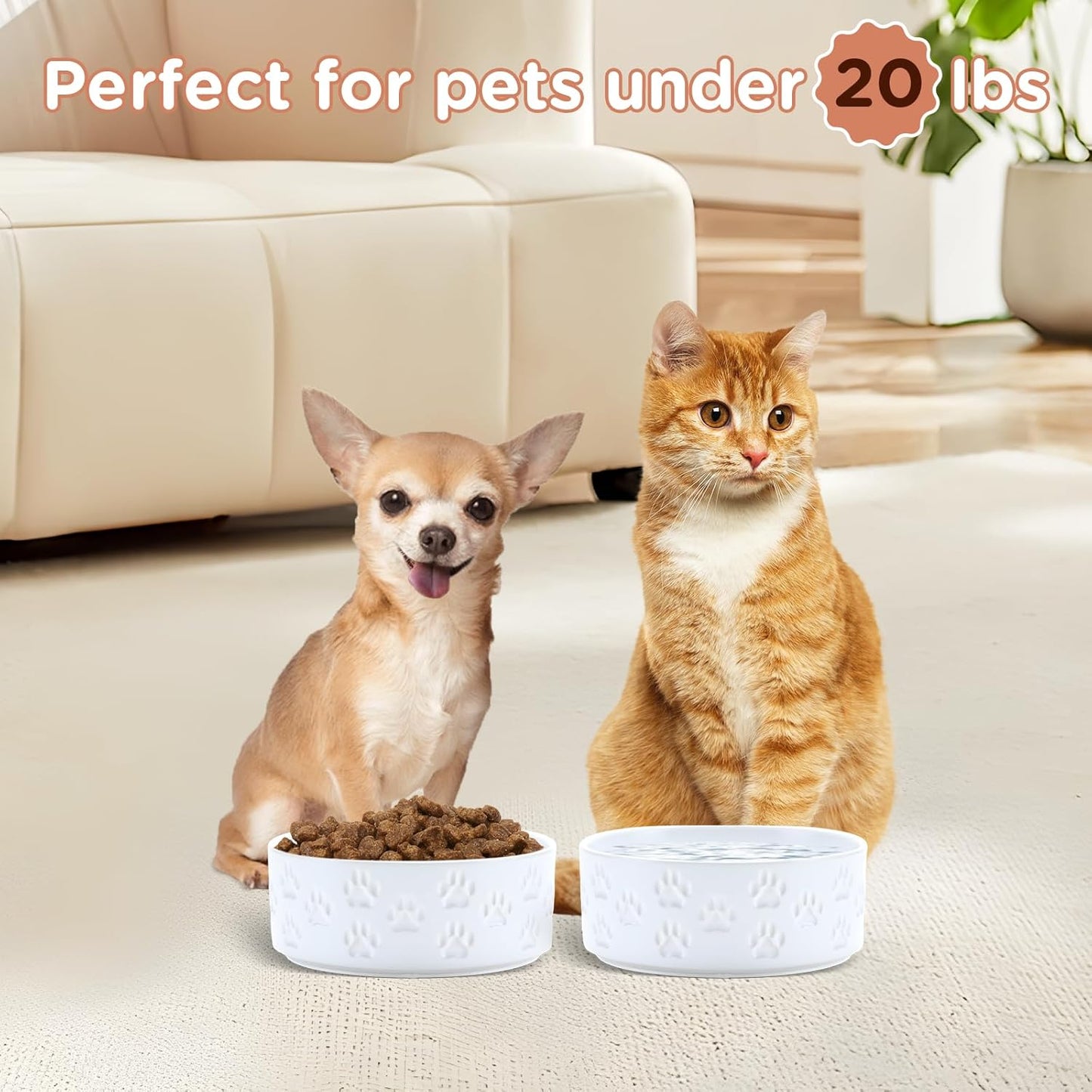 SPUNKYJUNKY Ceramic Dog and Cat Bowls 2 Pack, 5.1'' Dog and Cat Food Water Double Feeding Bowls Non-Slip for Cats and Puppy Small Sized Breed Dogs Microwave Dishwasher Safe - 13.5 OZ, 2pcs, Paw White