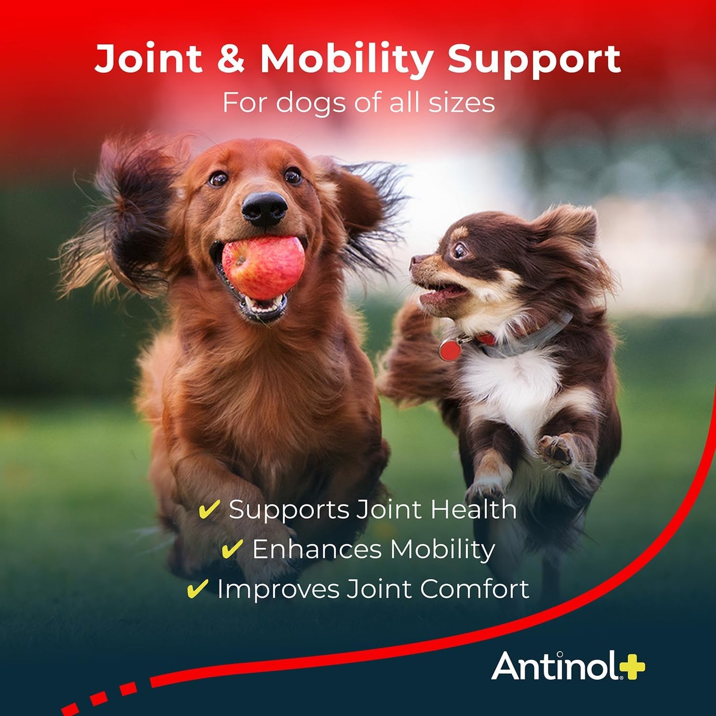 Plus, Mobility, Hip, and Joint Supplement for Dogs, Green-Lipped Mussels and Krill Oil - Dog Joint Supplement, Better and Faster Than Glucosamine and Chondroitin, 150 Soft Gels