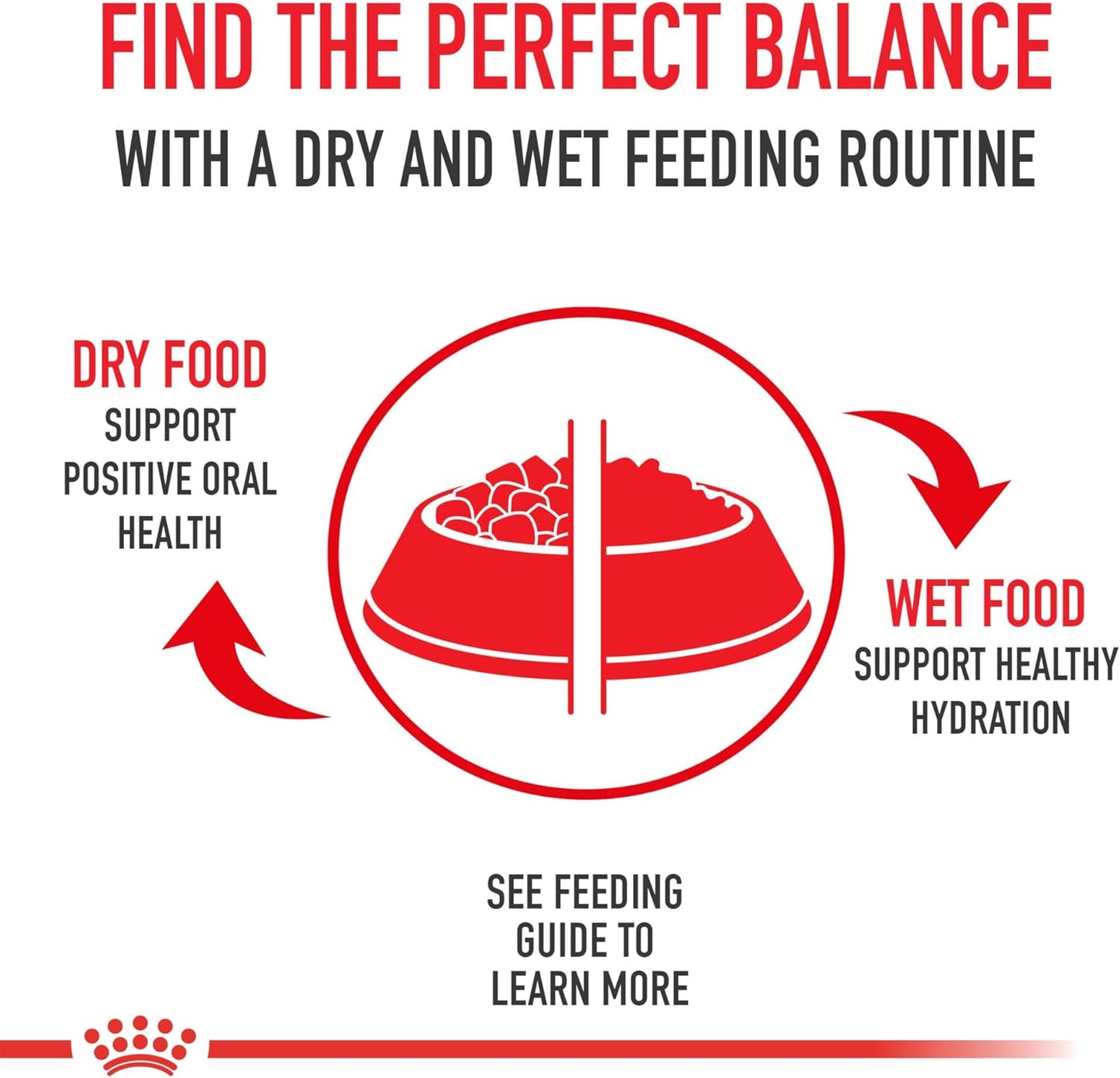 Royal Canin Aging 12+ Thin Slices in Gravy Canned Cat Food, 3 oz can (12-pack)