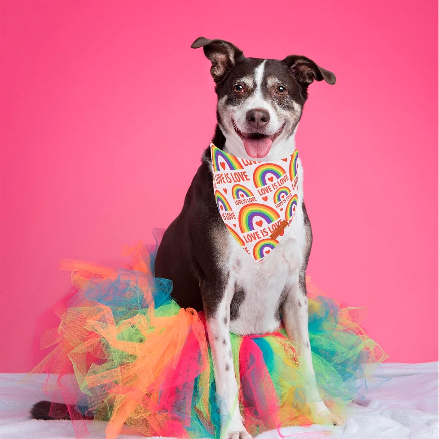 PTDECOR Rainbow Dog Bandanas Pride Day, Multi Size,“Love is Love” Pet Scarf Reversible Triangle LGBT+ Rainbow Bandanas for Large X-Large Dogs Pets (X-Large)