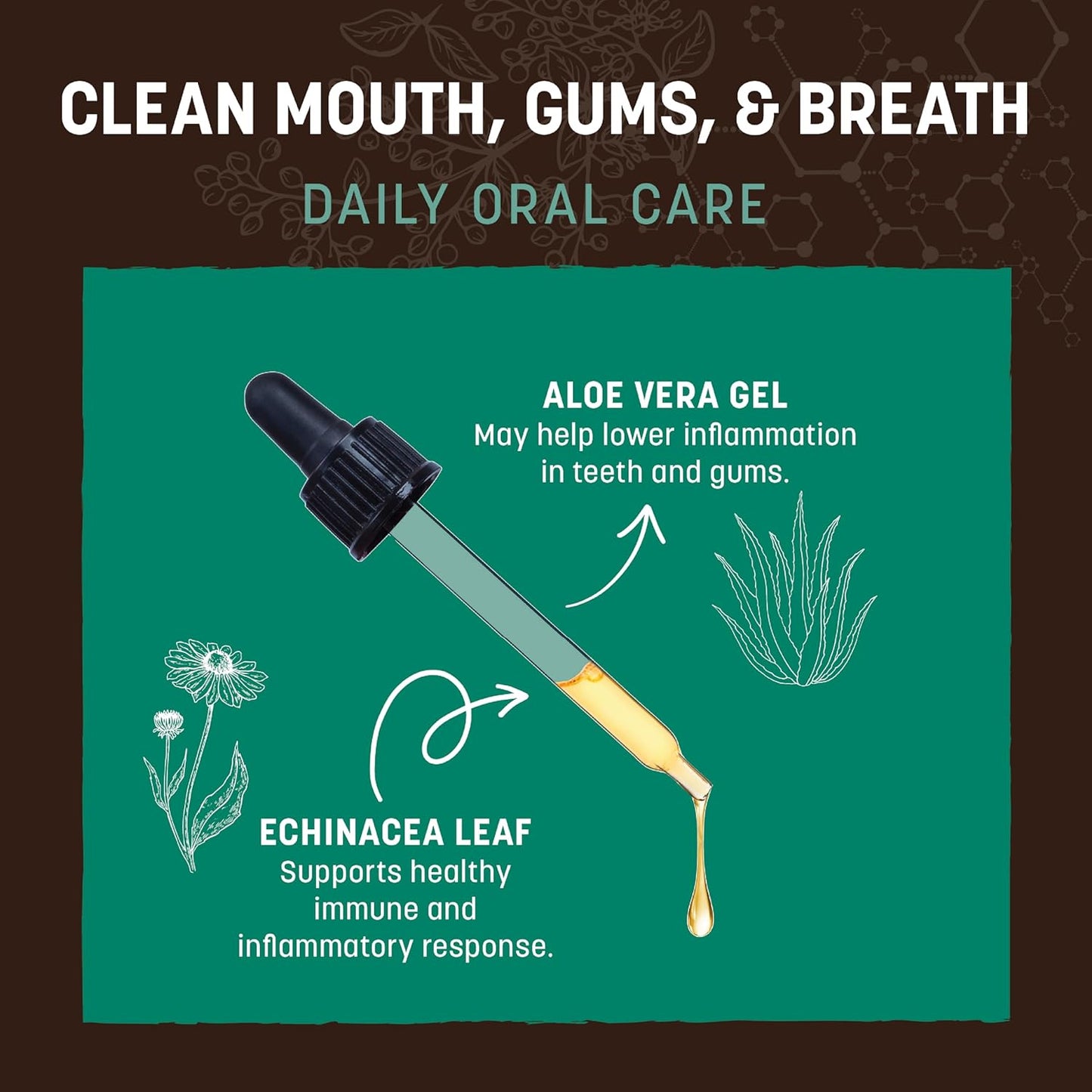 Earth Animal Herbal Remedies | Clean Mouth, Gums and Breath | 2 fl oz
