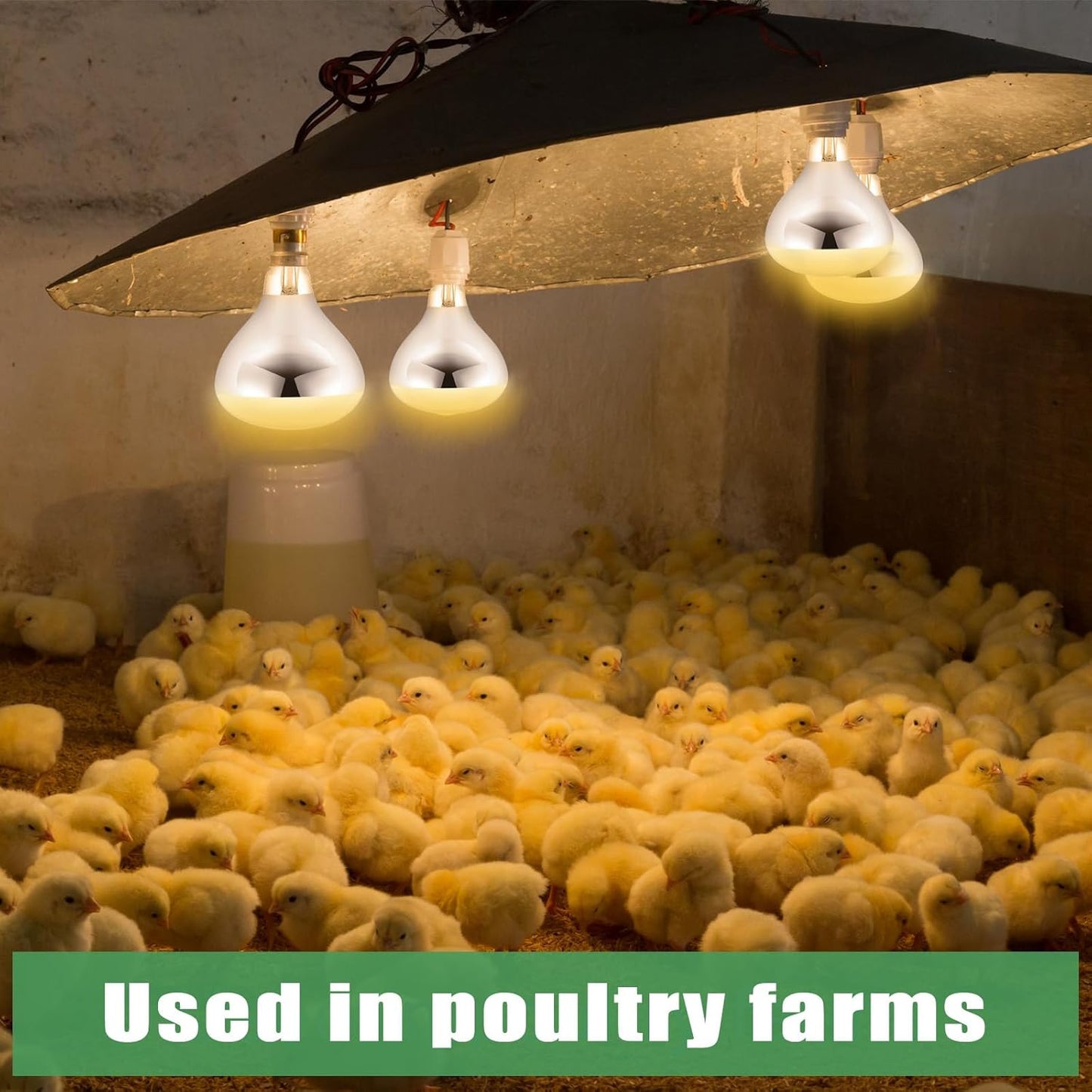 VIHOSE 5 Pack 250 Watt Heat Lamp 120v R40 Heat Lamp Bulbs Glass Incandescent Light Bulbs Incandescent Heating Lightbulbs for Reptiles Chicks Food Puppies Bathroom, Use E26 Base (Silver)