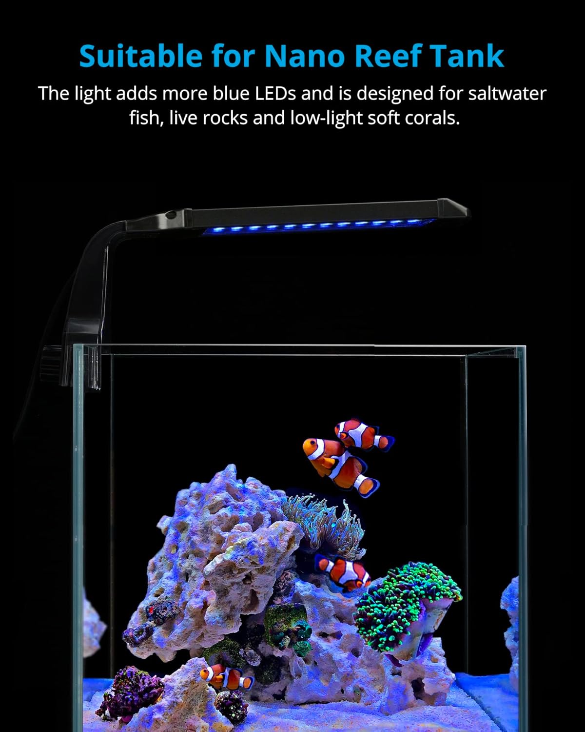 NICREW Marine Clip on Aquarium Light, Saltwater Fish Tank Light for Coral Reef Tanks with LCD Timer, 2 Lighting Modes