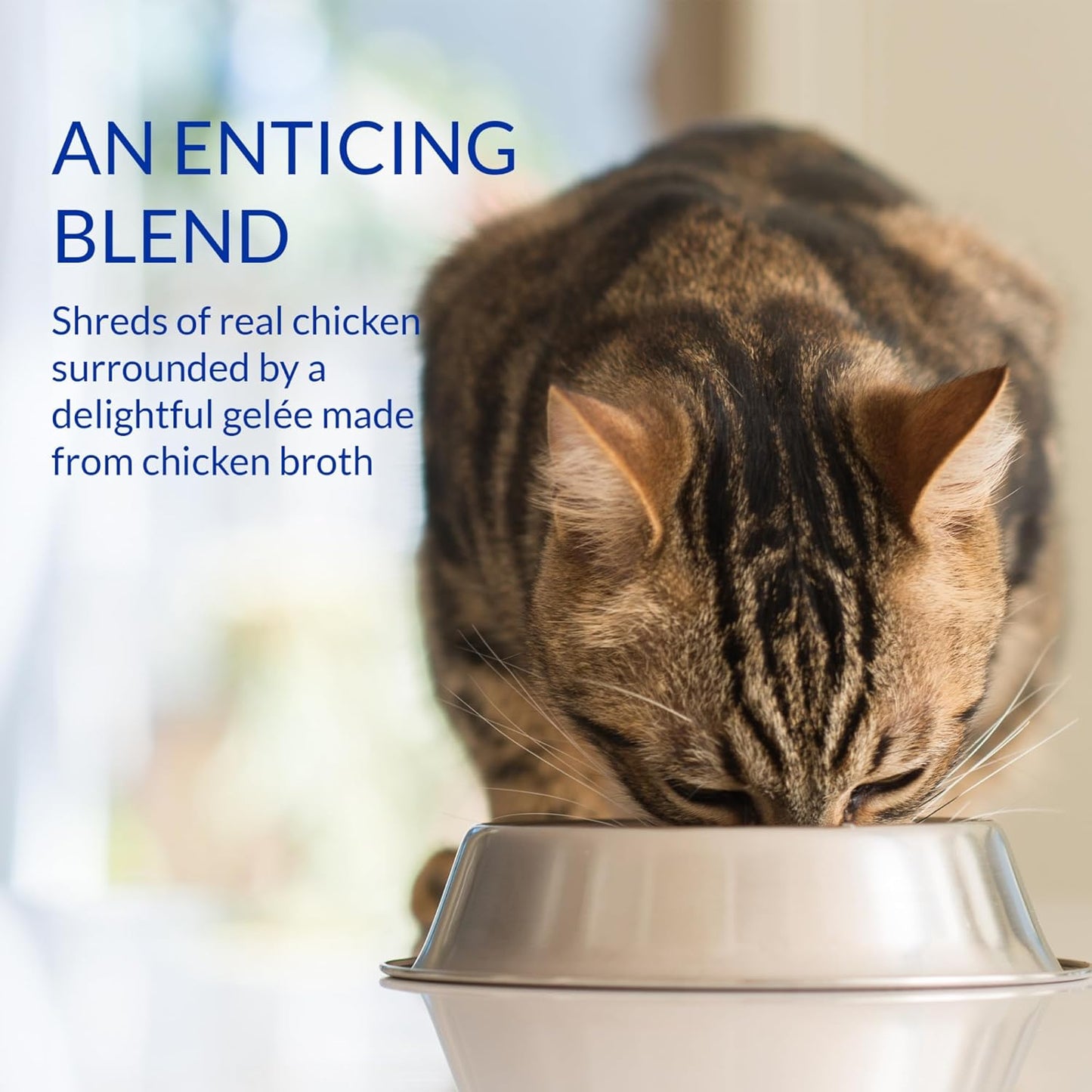 INABA Churu Stew for Cats Senior 10+, Side Dish Pouch, 1.4 Ounces per Pouch, 12 Pouches Total, Chicken Recipe