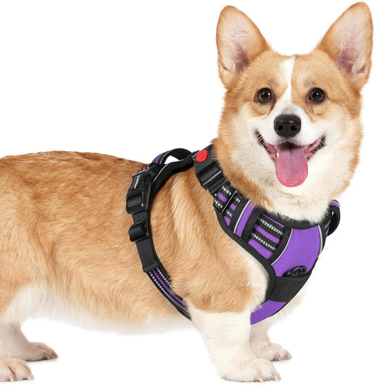 rabbitgoo Dog Harness Small Sized, No Pull Pet Harness with 3 Buckles, Adjustable Soft Padded Vest with Control Handle, Walking Reflective Pet Vest for Small Dogs, Purple, S
