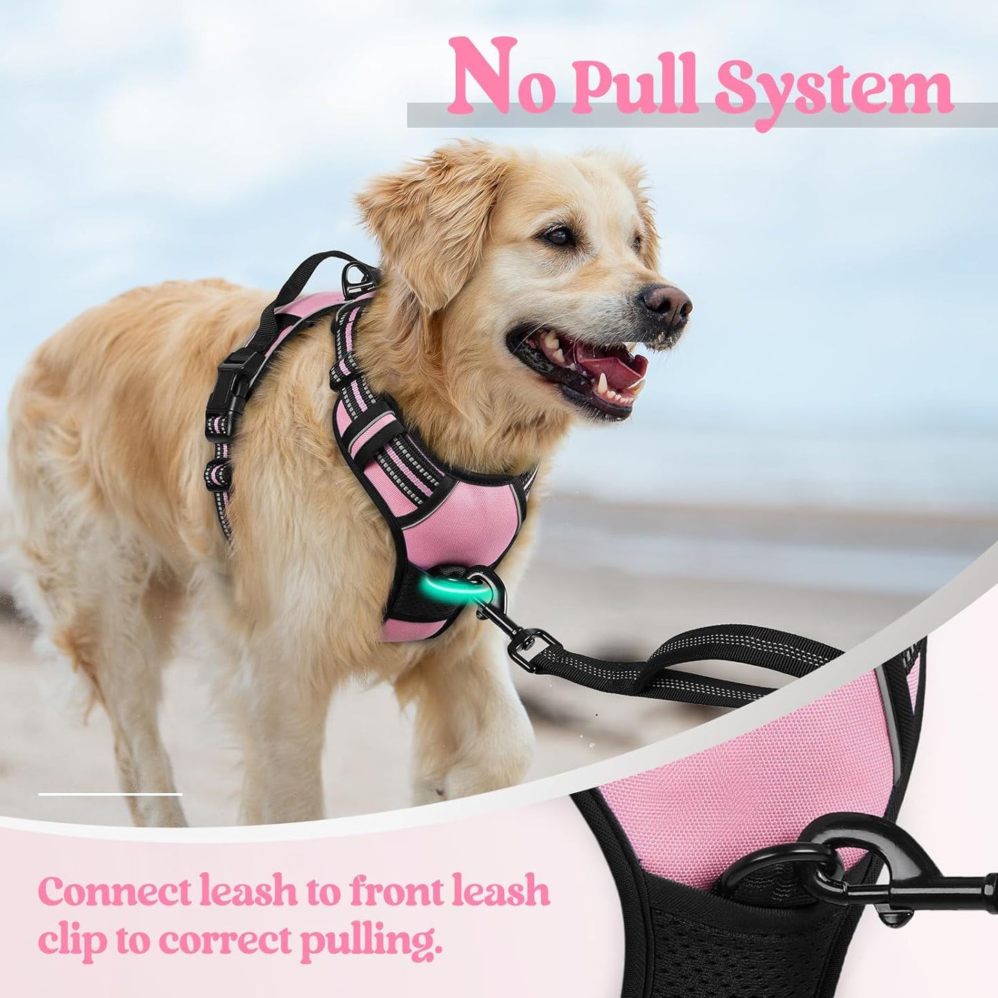 rabbitgoo Dog Harness No Pull with 2 Leash Clips, Adjustable Soft Padded, Reflective Oxford No Choke Pet Vest with Easy Control Handle for Medium Sized Dogs, Pink, M