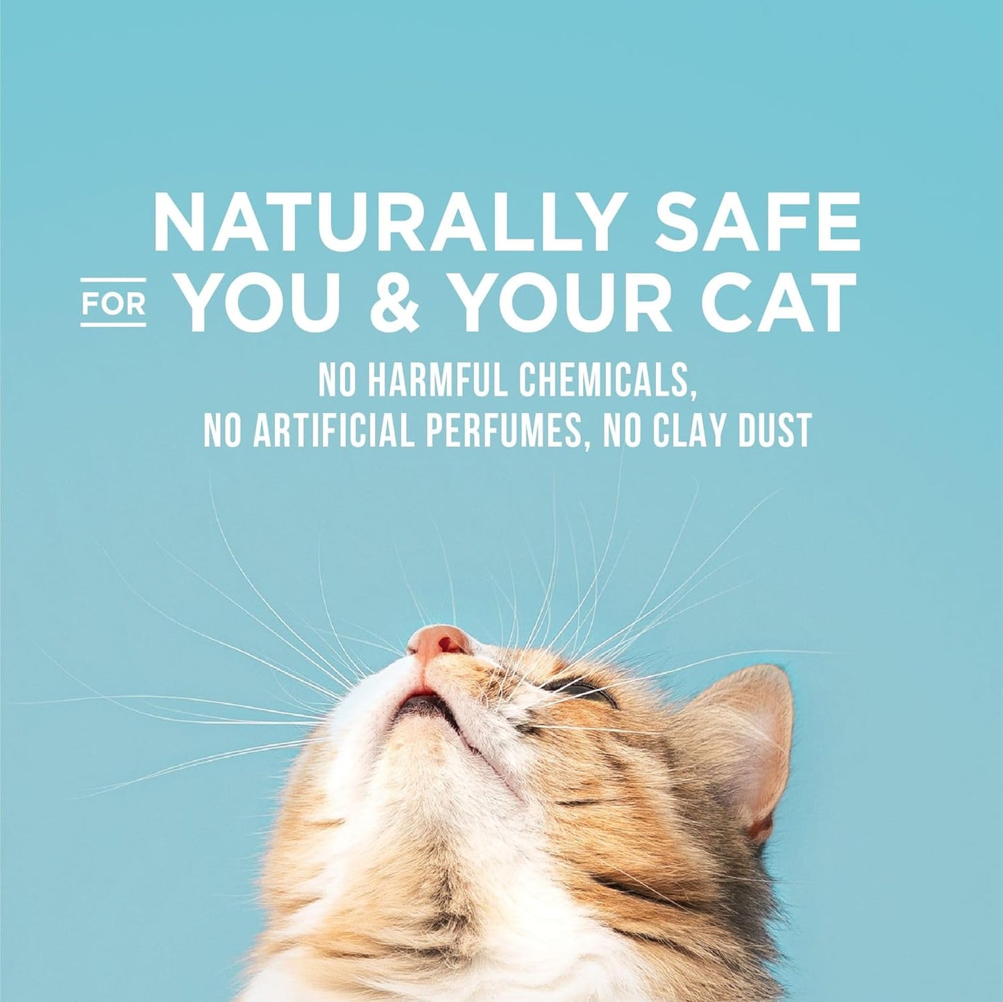 WORLD'S BEST CAT LITTER Poop Fighter Maximum Odor Defense, 32-Pounds - Natural Ingredients, Quick Clumping, Flushable, 99% Dust Free & Made in USA - Long-Lasting Odor Control & Easy Scooping