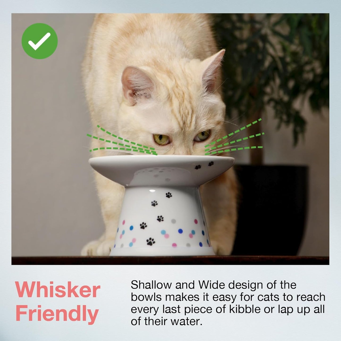 Necoichi Raised Cat Food Bowl – Ceramic Elevated Cat Bowl for Whisker & Neck Fatigue, Dishwasher Microwave Safe – Non-Slip & Anti Vomiting Ergonomic Design (Colorful Dots, Extra Wide)