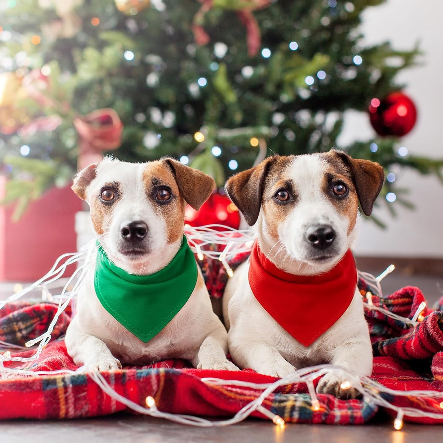 48 Pcs Christmas Color Dog Bandanas Bulk Sublimation Blank Bandanas for Dogs Heat Transfer Triangle Bibs DIY Scarf for Small Medium Large Puppy Pets Costume Photo Props Accessories Pet Shops