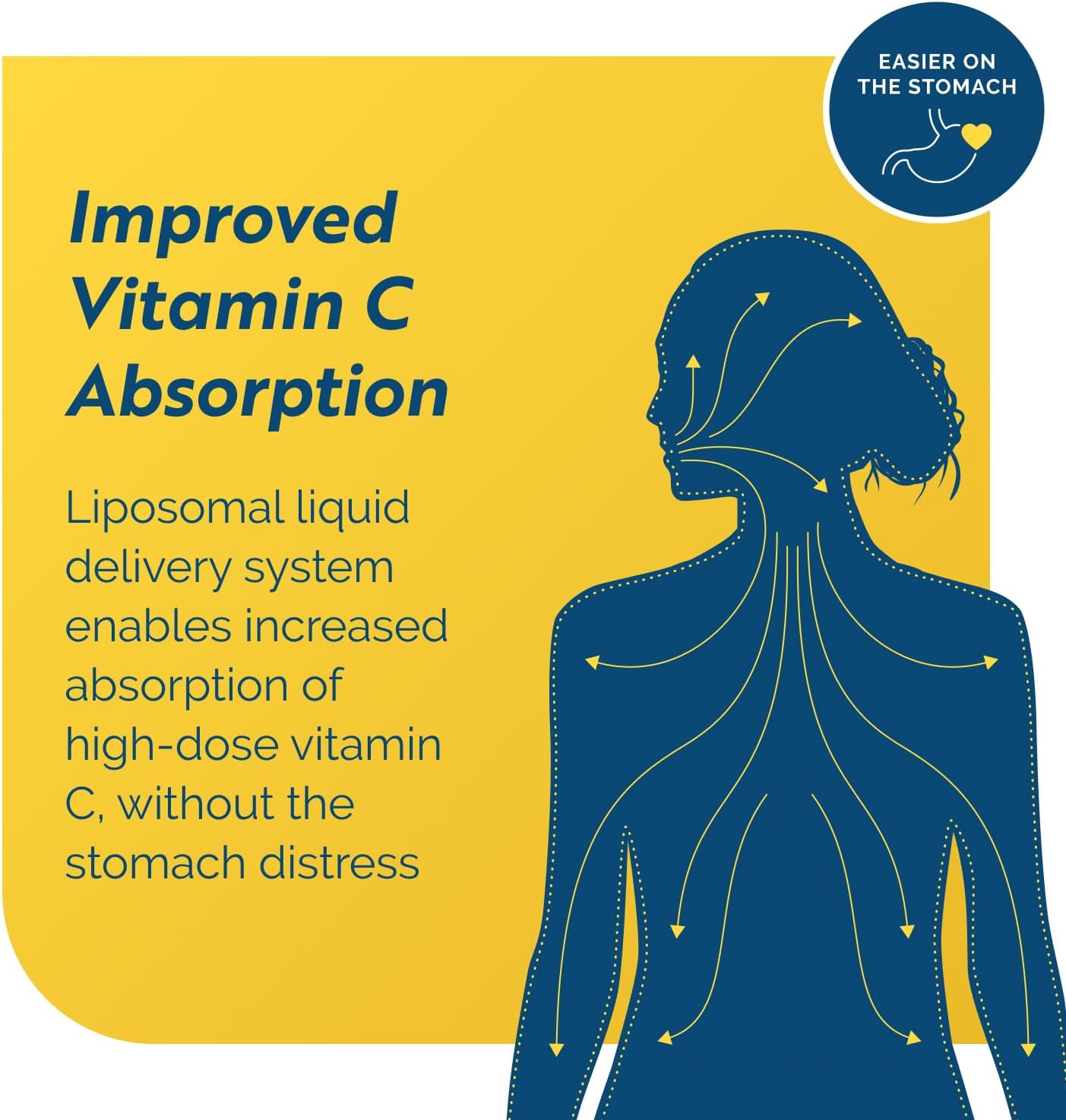 Researched Nutritionals C-RLA - Liposomal Vitamin C with R Lipoic Acid to Support Detox - Vegan & Soy-Free Vitamin C Liquid, Vanilla Caramel Flavor (10 Fl Oz)
