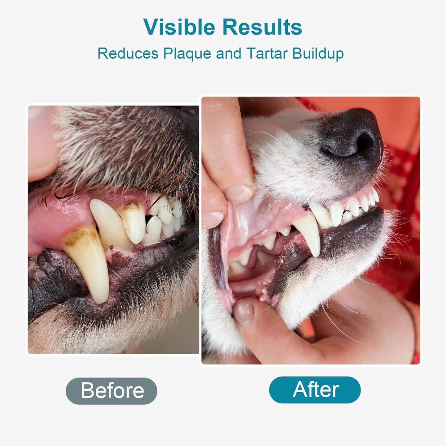 Dog Teeth Cleaning Powder 100g Fights Plaque & Tartar Freshens Breath All-Natural Ingredients for Dogs of All Breeds and Ages Easy to Use Dog Dental Powder