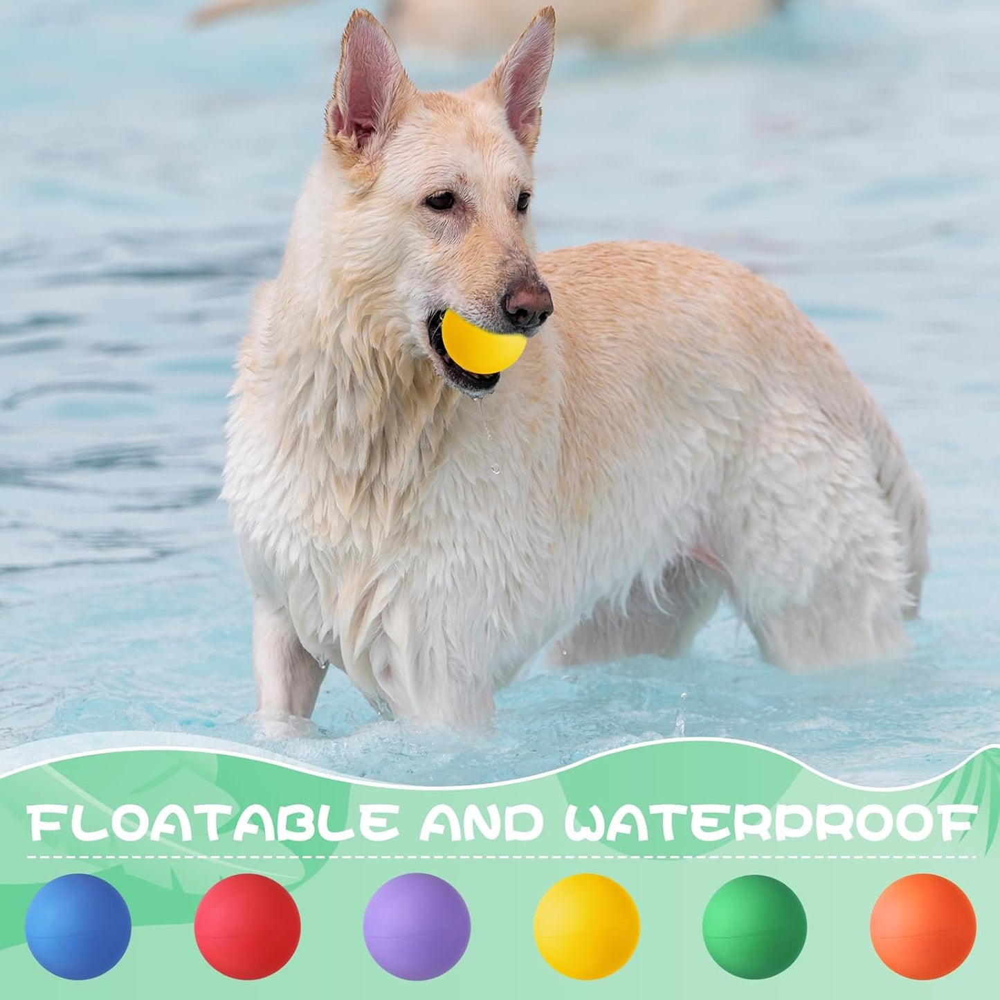 Shappy 12 Pieces Rubber Dog Tennis Balls for Dog Colorful Catching Pet Balls for Fetch Training 2.4 Inch Interactive Bounce and Floatable Toy for Park Beach