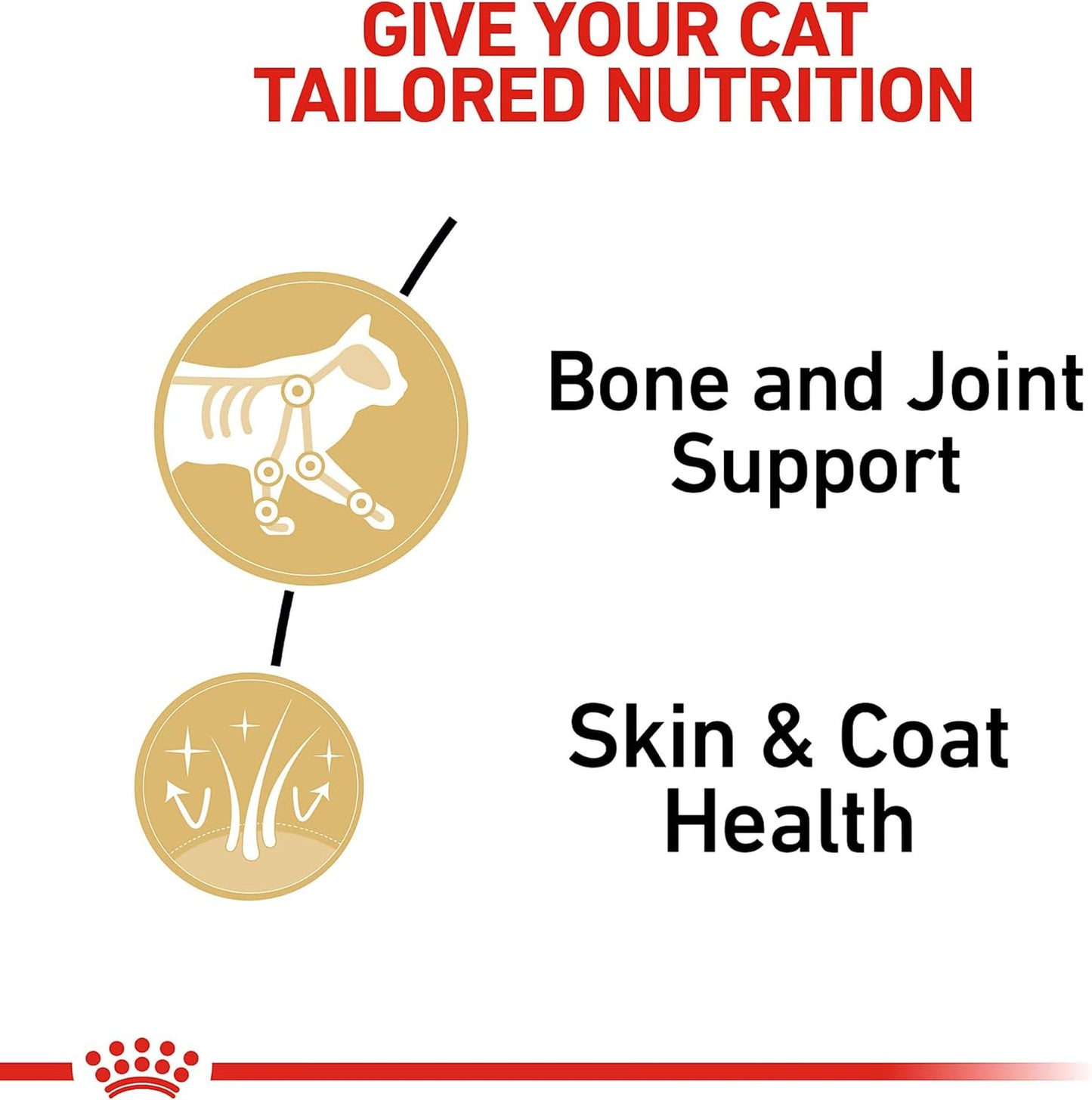 Royal Canin Maine Coon Adult Breed Specific Cat Food Thin Slices in Gravy, 3 oz can (6-Pack)