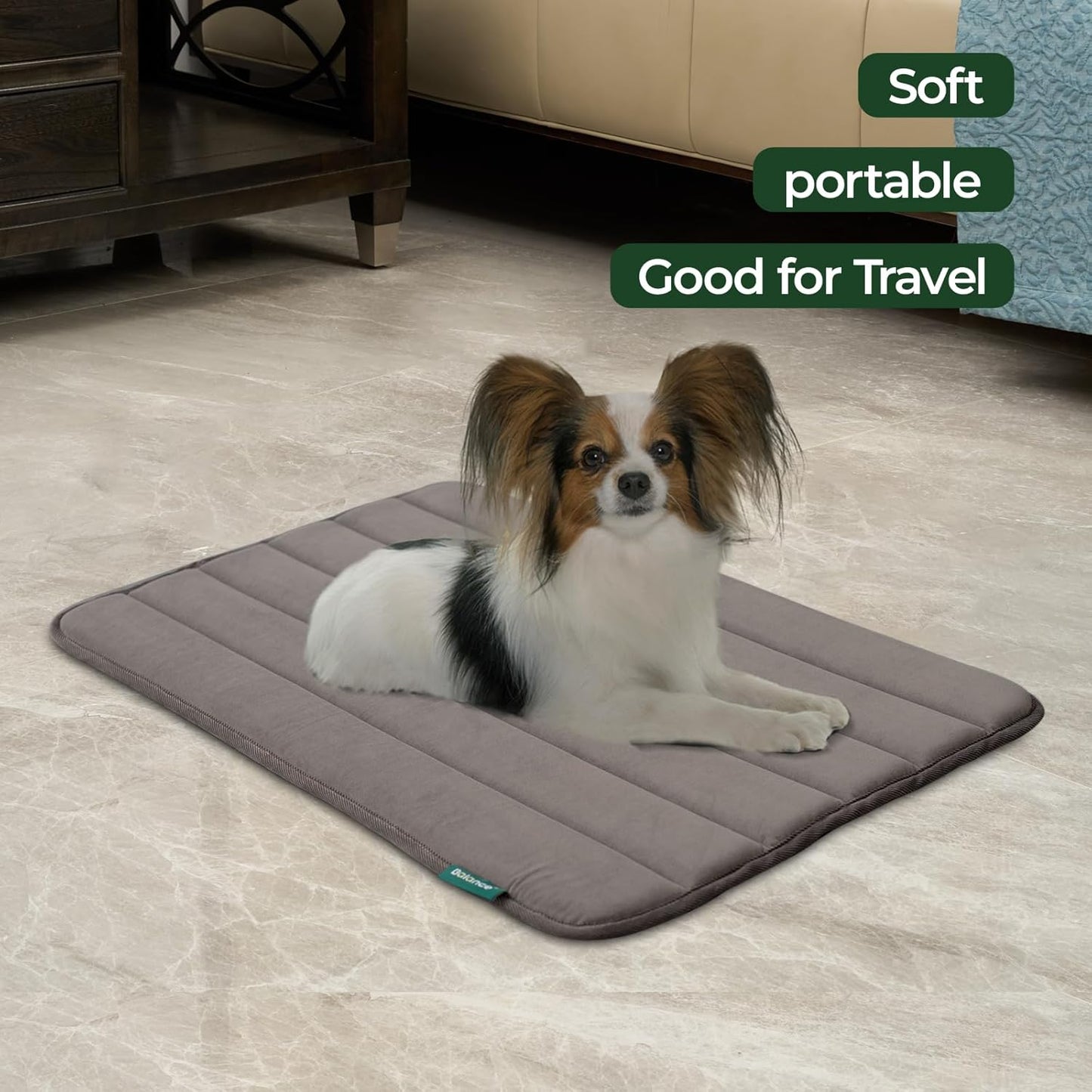 BALANCE Dog Crate Pad, Dog Foam Crate Mat Kennel Pad, Washable Water-Resistant Pet Bed Flat Dogs Cage Mat for Medium Dogs