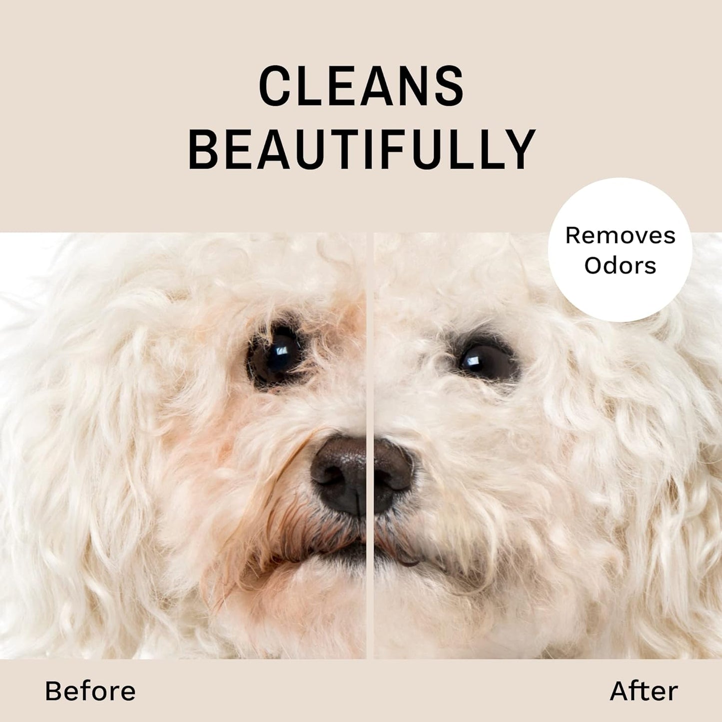 Eye Envy Tear Stain Facial Cleanser for Dogs and Cats. Washes Away Crusty Eye Debris, Eye Boogers, Eye Discharge. Tearless Foaming Formula. Treats The Cause of Staining. All-Natural. 1 US Gallon